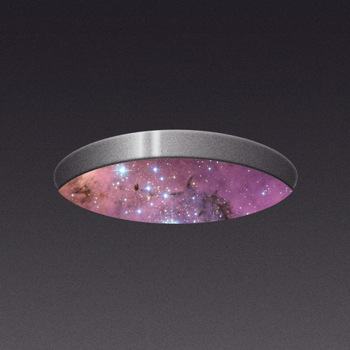 Menagerie - Kingdom (Official Video)