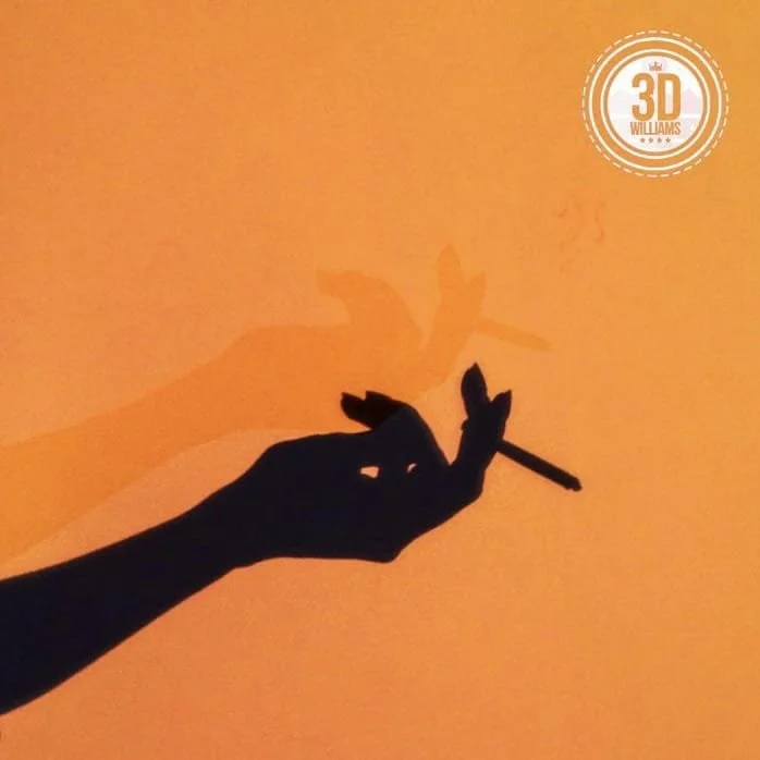 3D Williams X Emily Denton - What We Lost (Single)