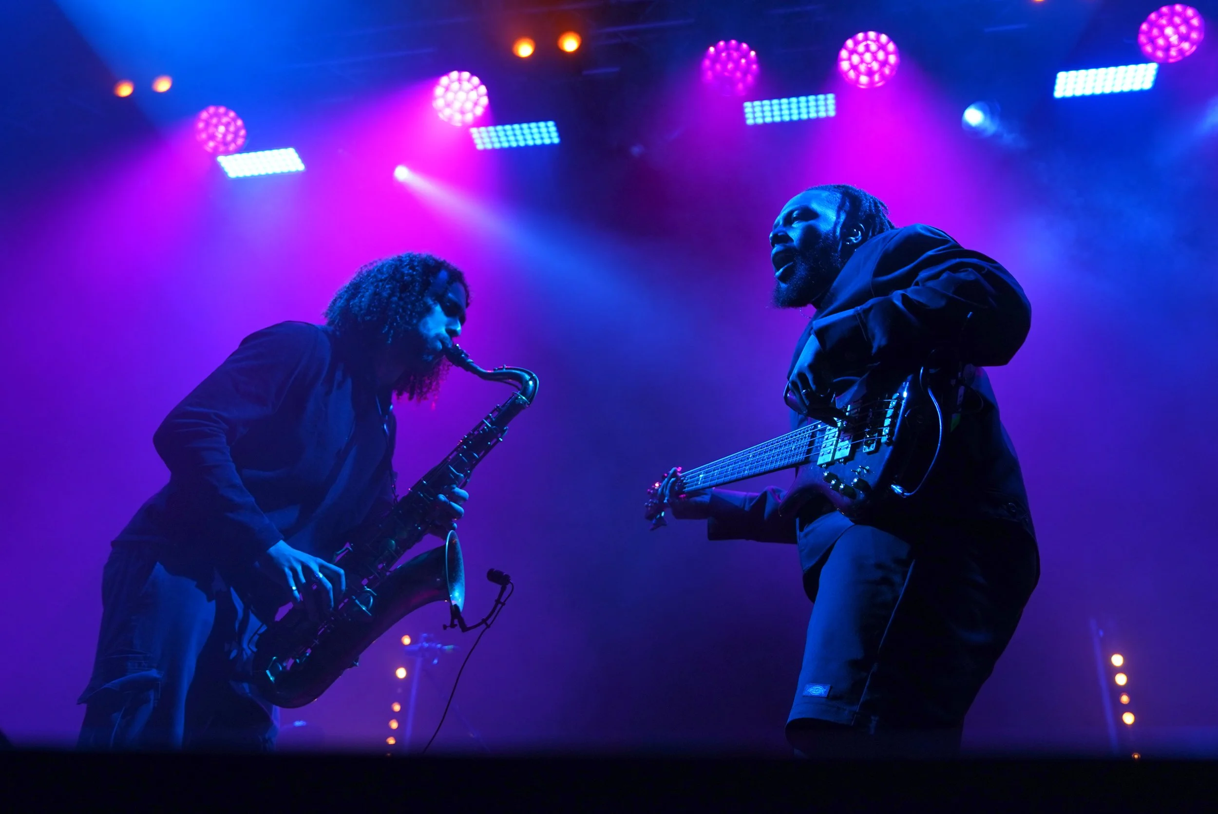 Where the Wild Things Danced!