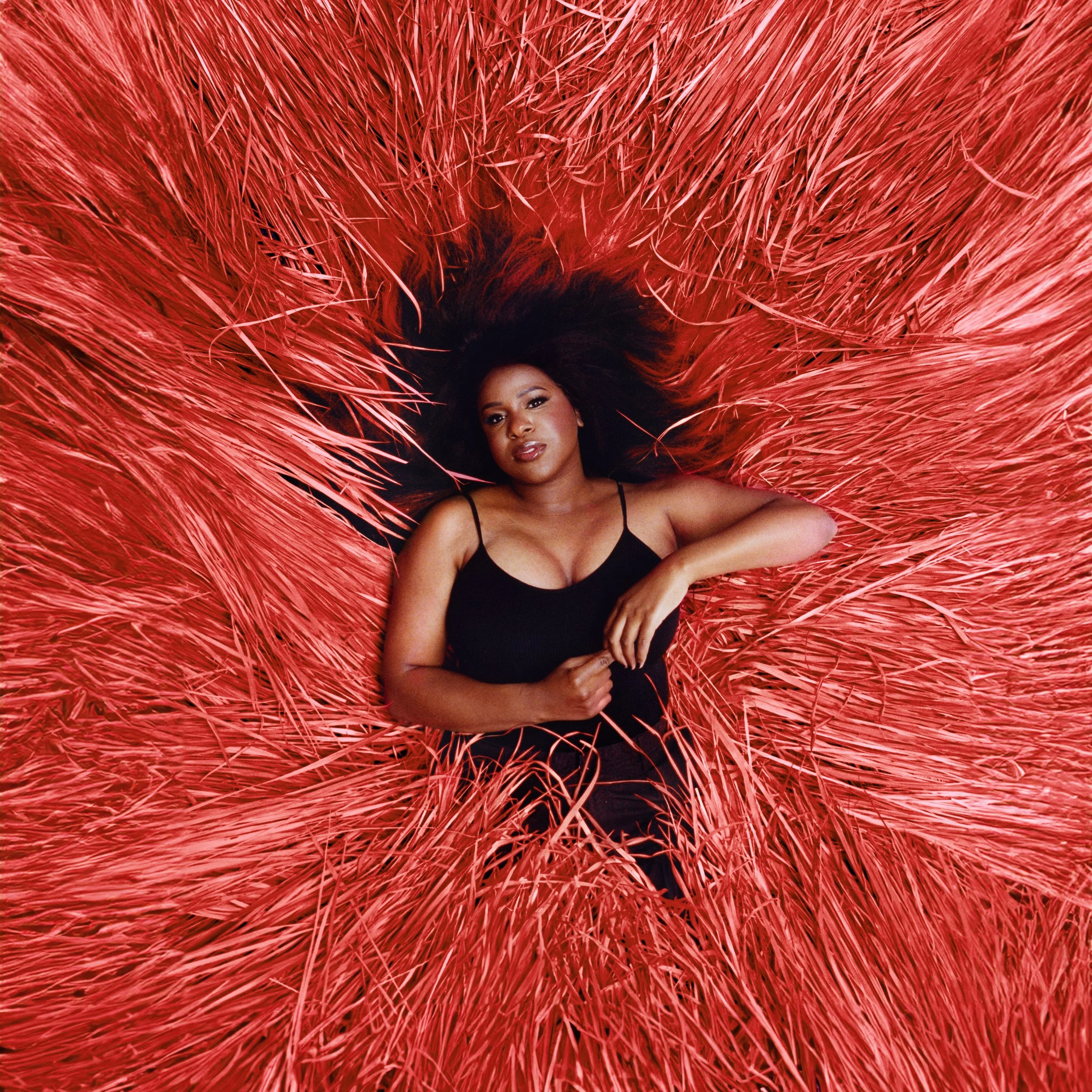 Nao - Wildflowers (Single)