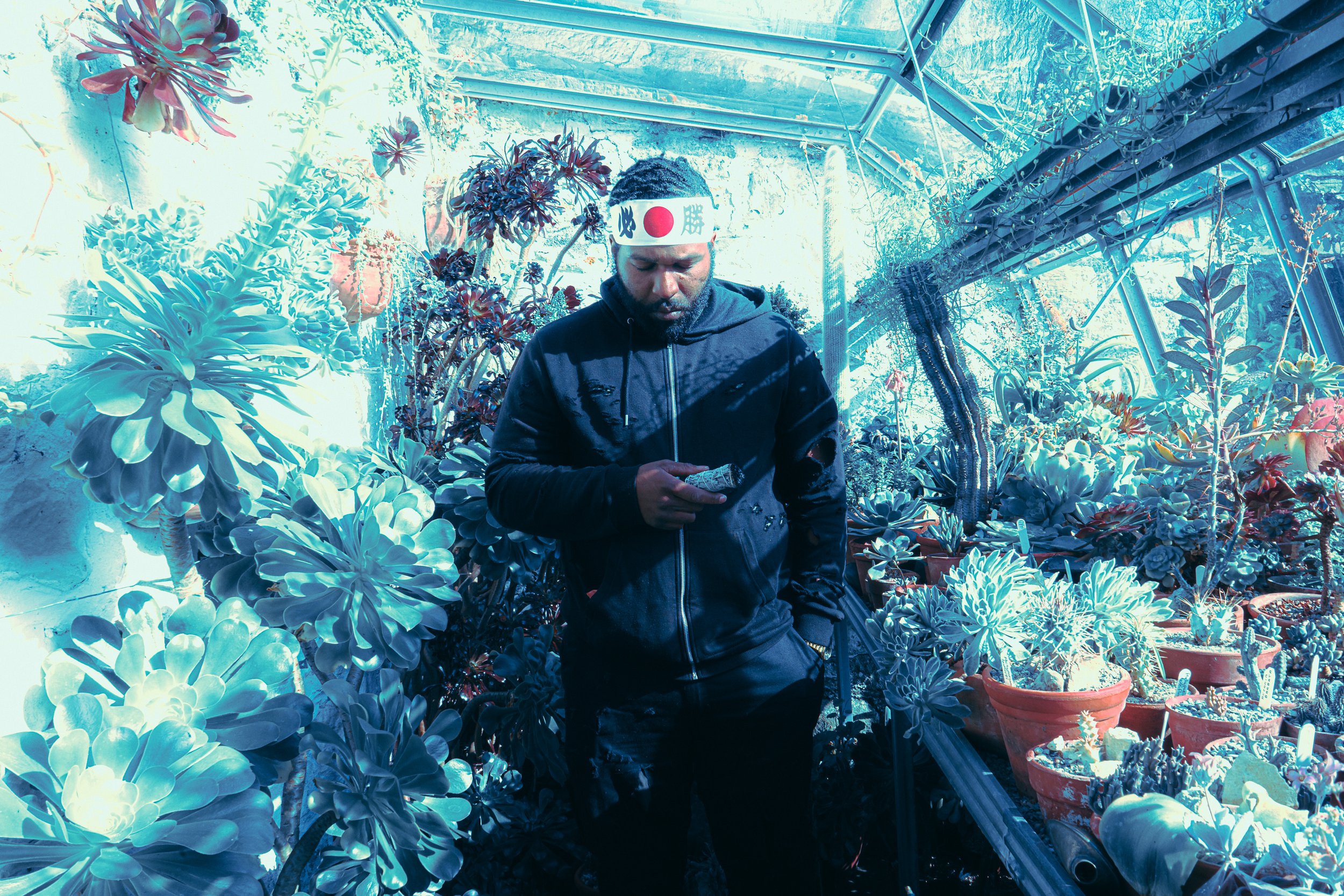 PREMIERE: iGraft Life - WARRIOR IN A GARDEN (SIDE A) (Album) + 10 Questions