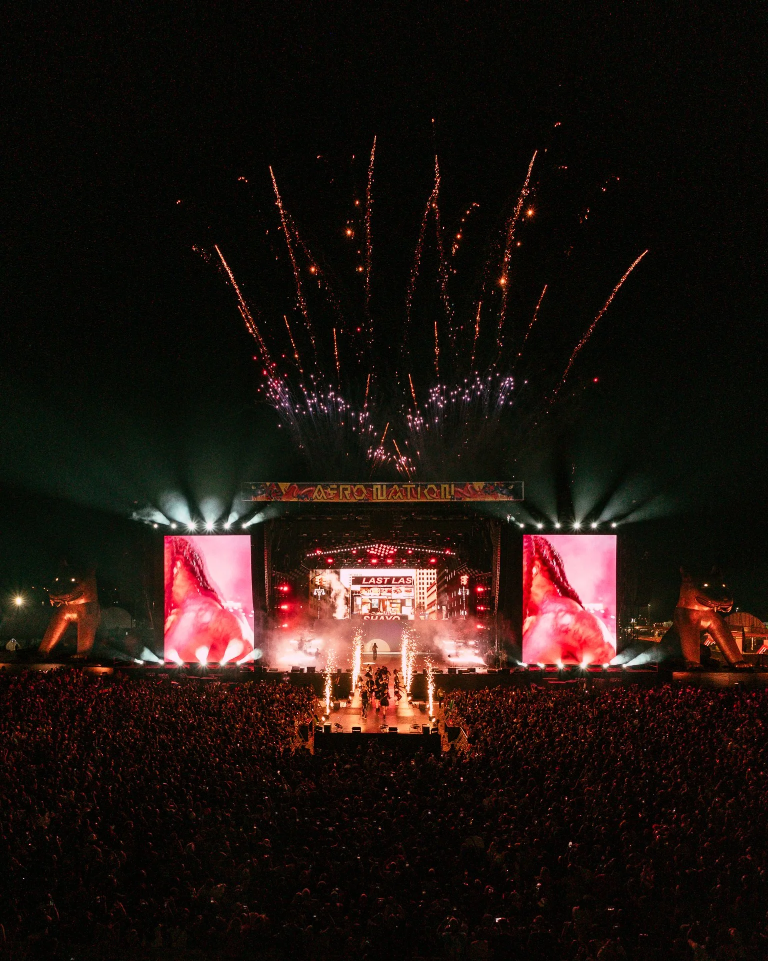 AFRONATION-2025-@CRUDSHOTS-183.jpg