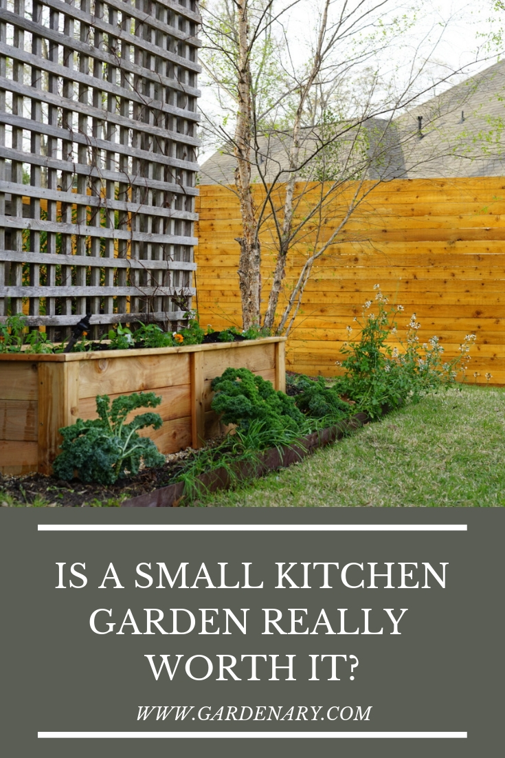 Is a Small Kitchen Garden Really Worth It?.jpg