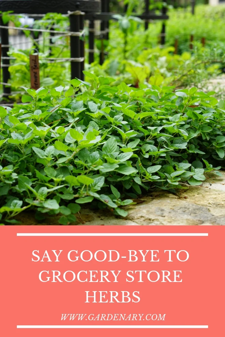 Say Good-Bye to Grocery Store Herbs.jpg