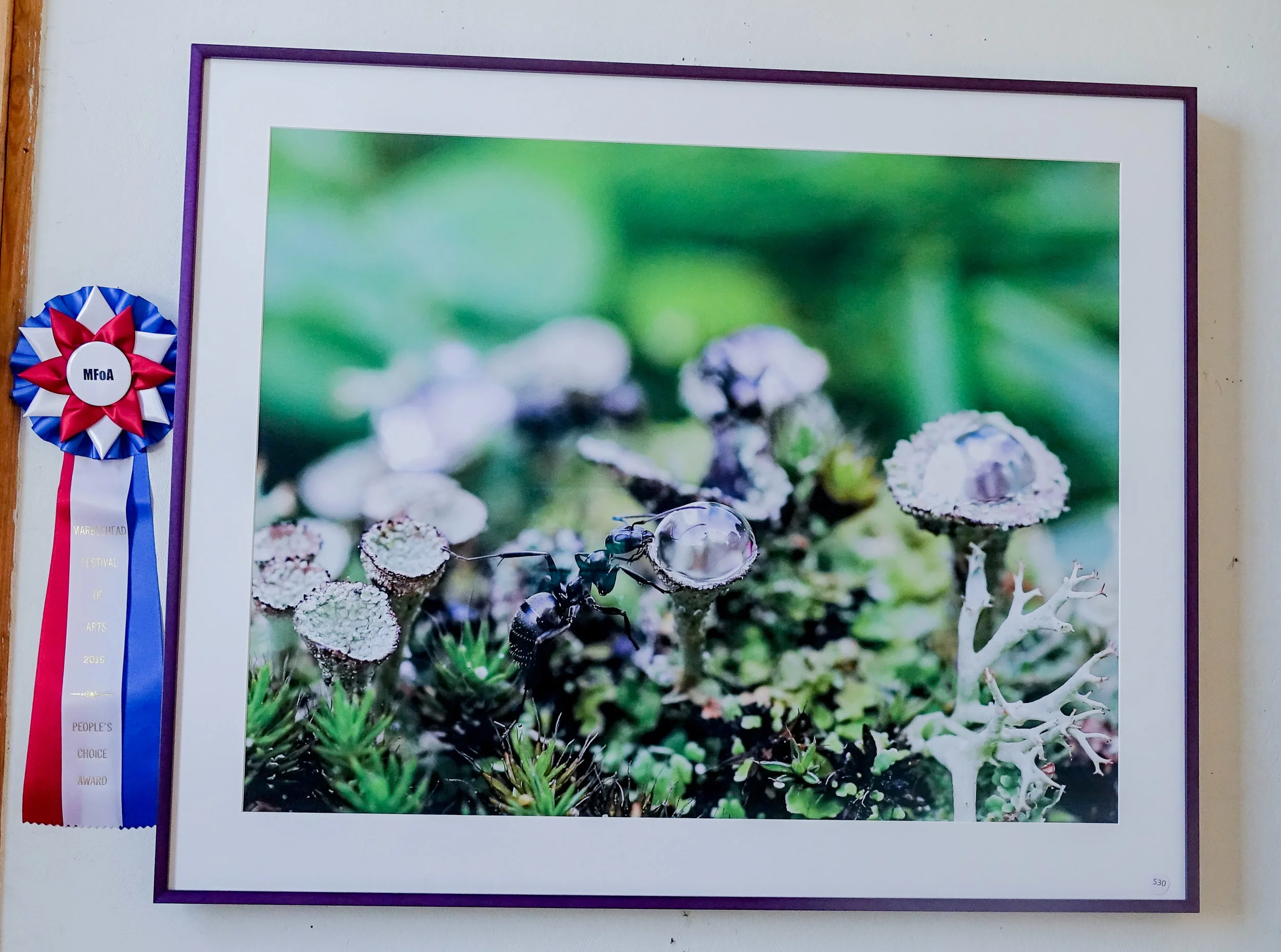 Photography, Kimberly Crowninshield
