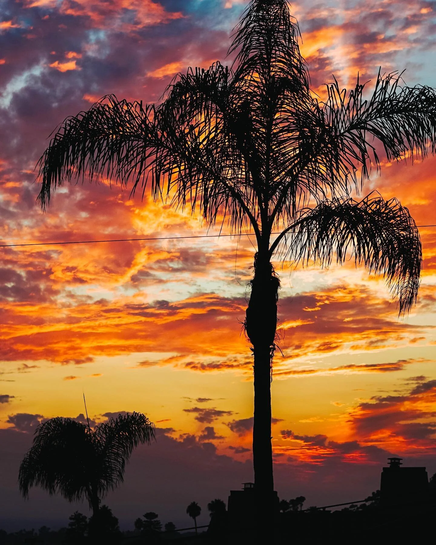 House Views Vol. 1 - Ventura Edition // #NewHouse
&bull;
&bull;
&bull;
#LaidOffVanLife #SummerViews #Sunset #SoCalSunset #PalmTree #Vibrant #Sky #GoldenHour #ExploreVentura #VisitVentura #Sony #SonyAlpha #SonyA7ii