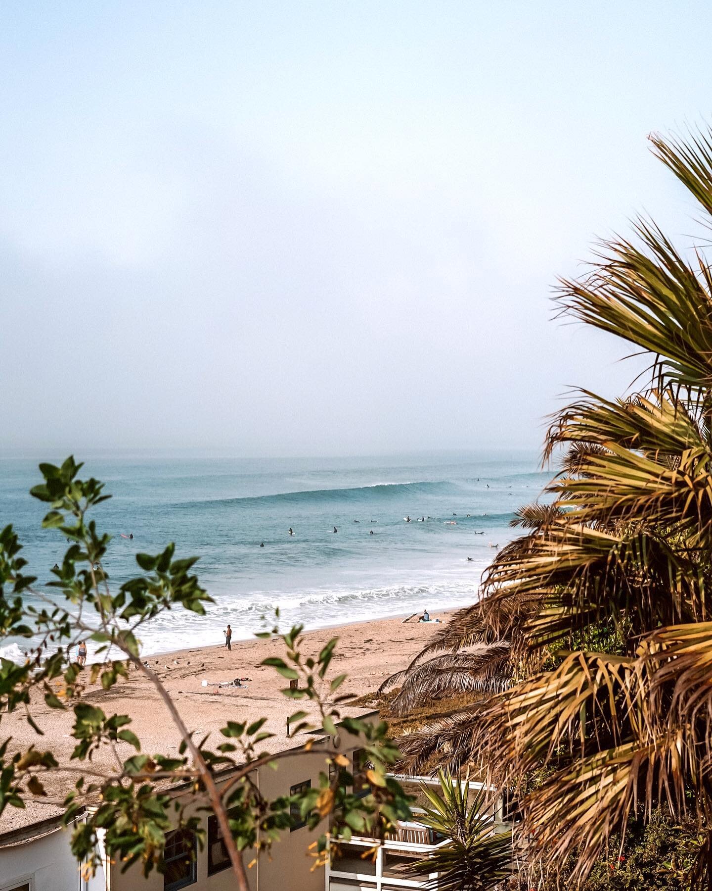 Exploring the new neighborhood has NOT disappointed.
&bull;
&bull;
&bull;
#LaidOffVanLife #SwellCheck #Surf #Ocean #Surfline #SouthernCalifornia