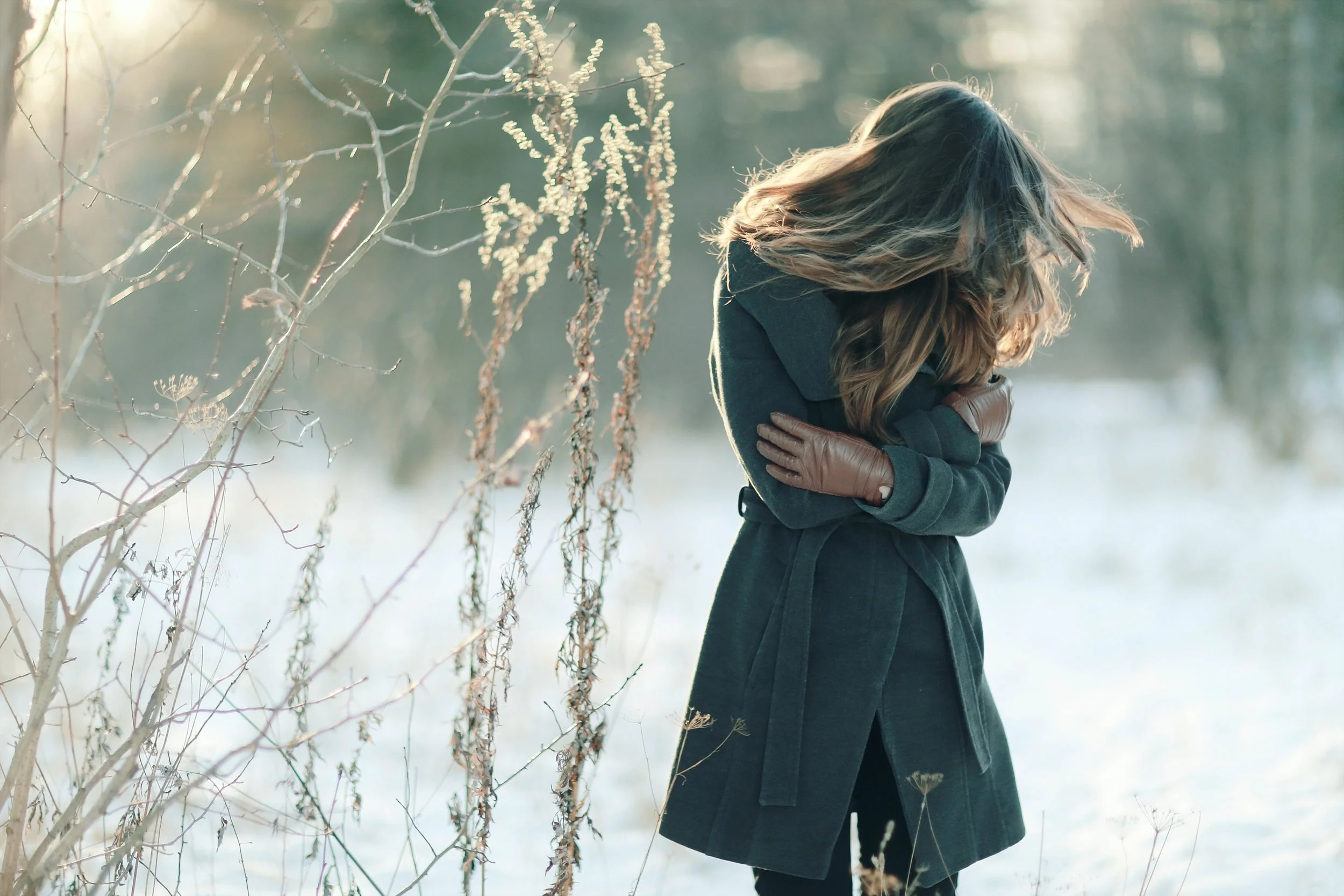 AdobeStock_97517164.jpg