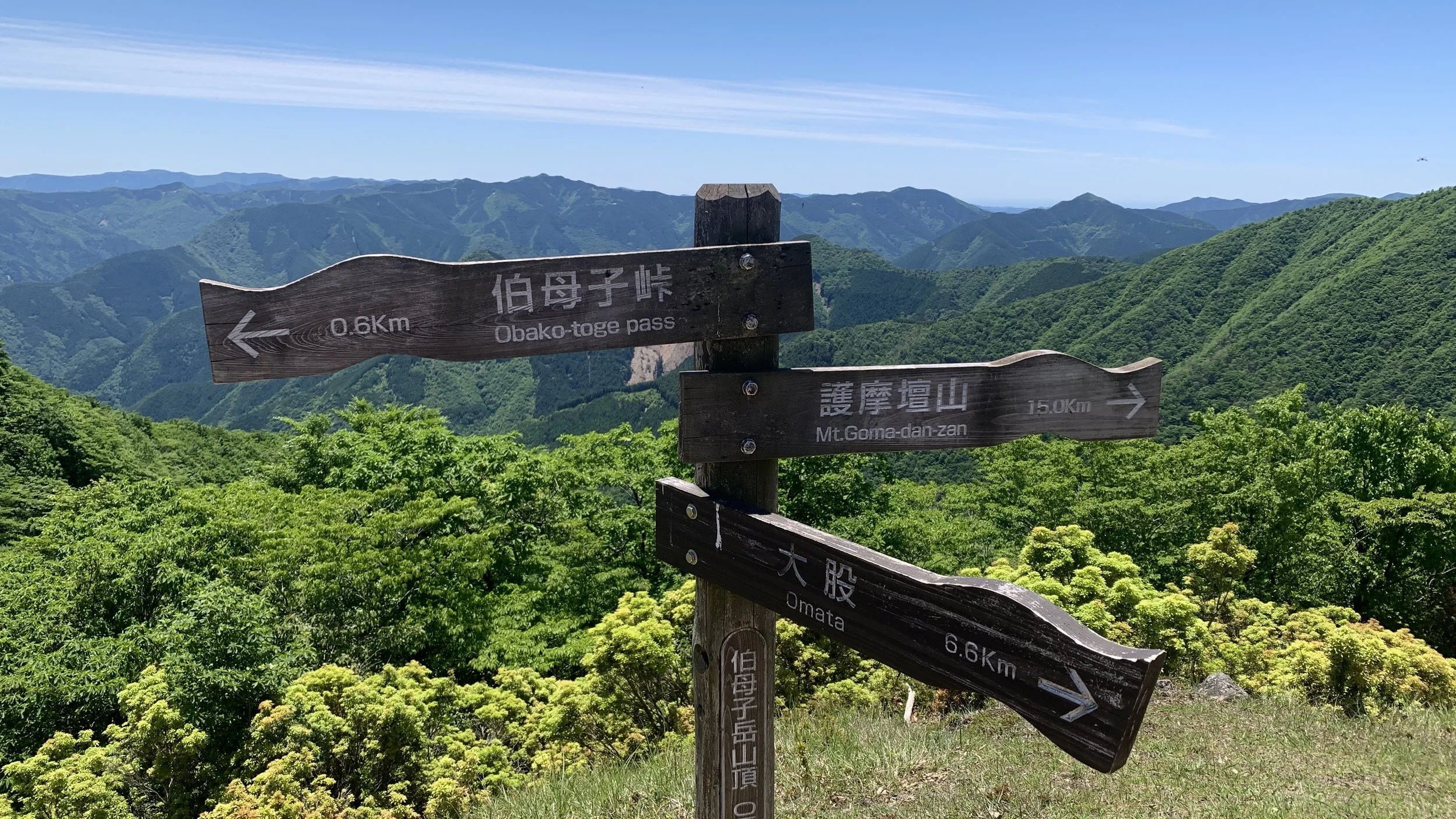 IMG_1984.jpeg