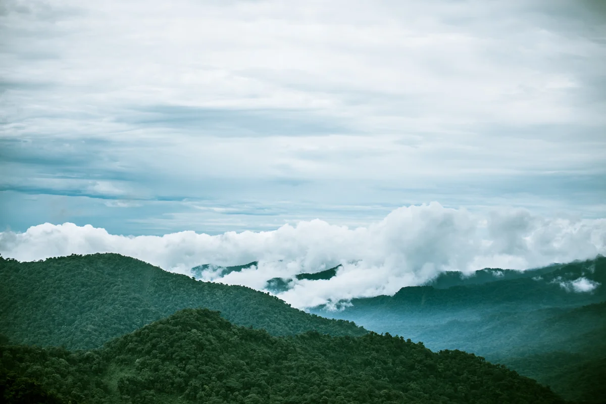 Monteverde National Park // Monteverde, Costa Rica // 2017