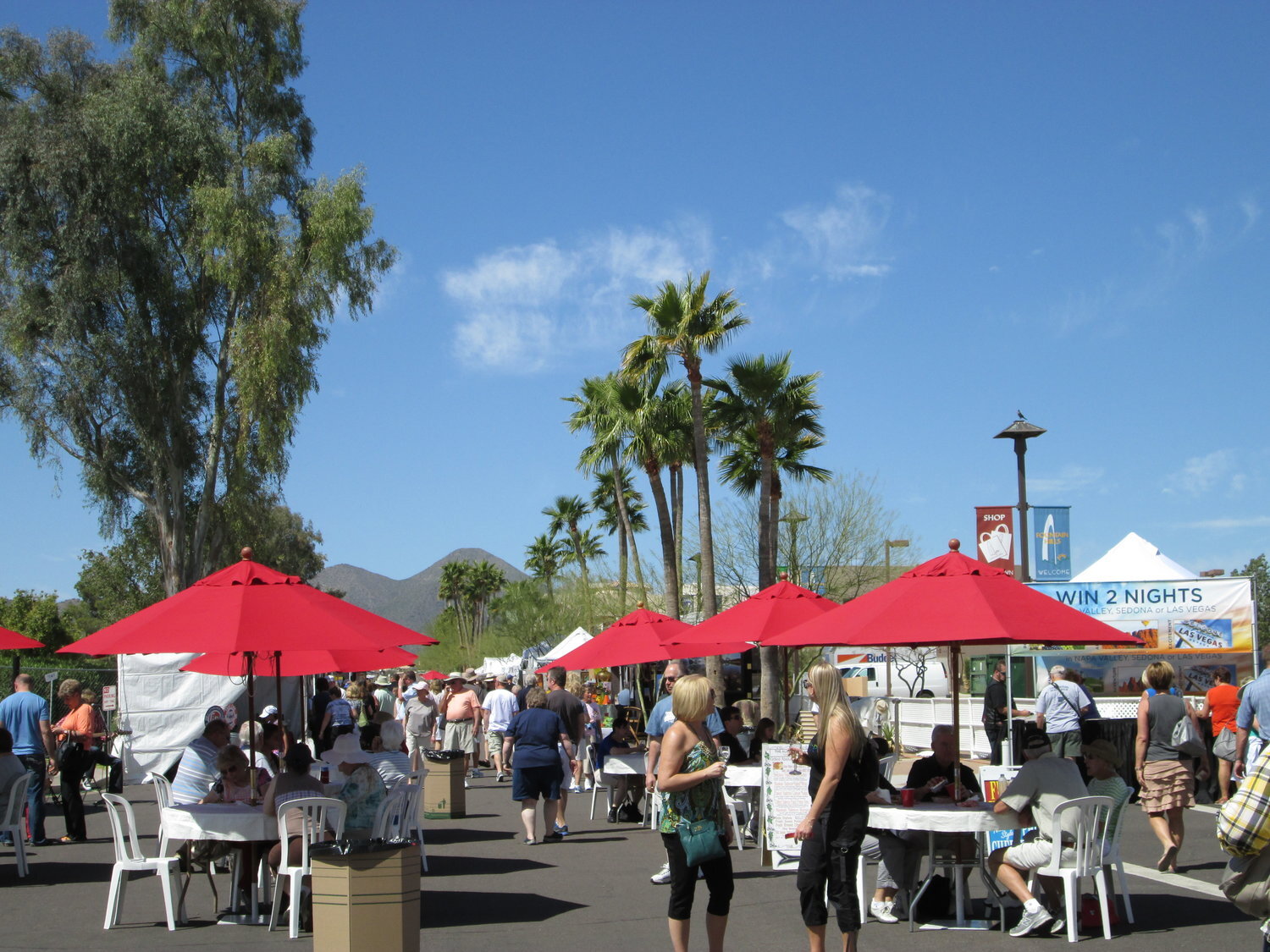 Fountain Hills Fine Art and Wine Festival