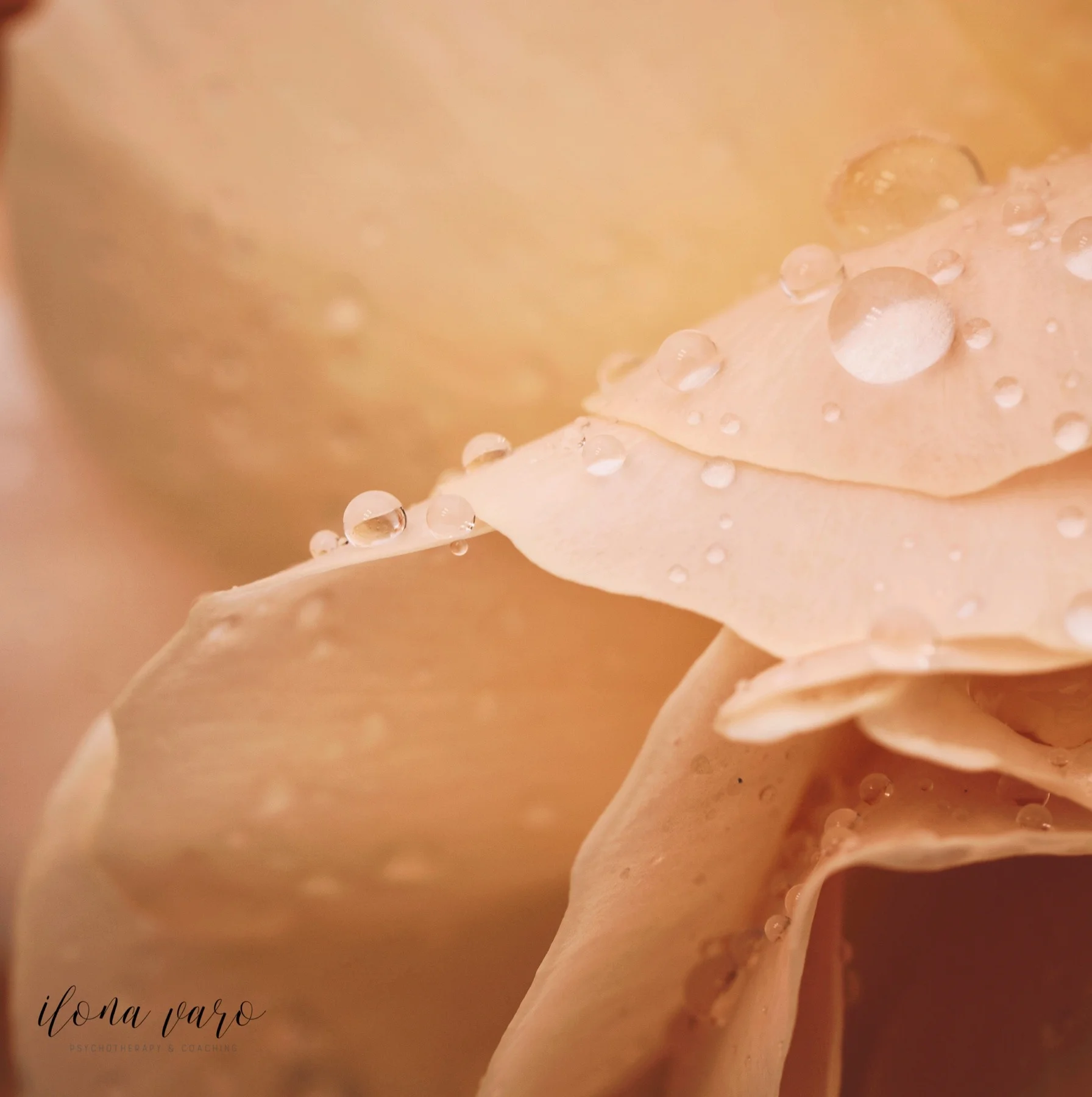 How to get through “I miss you season”