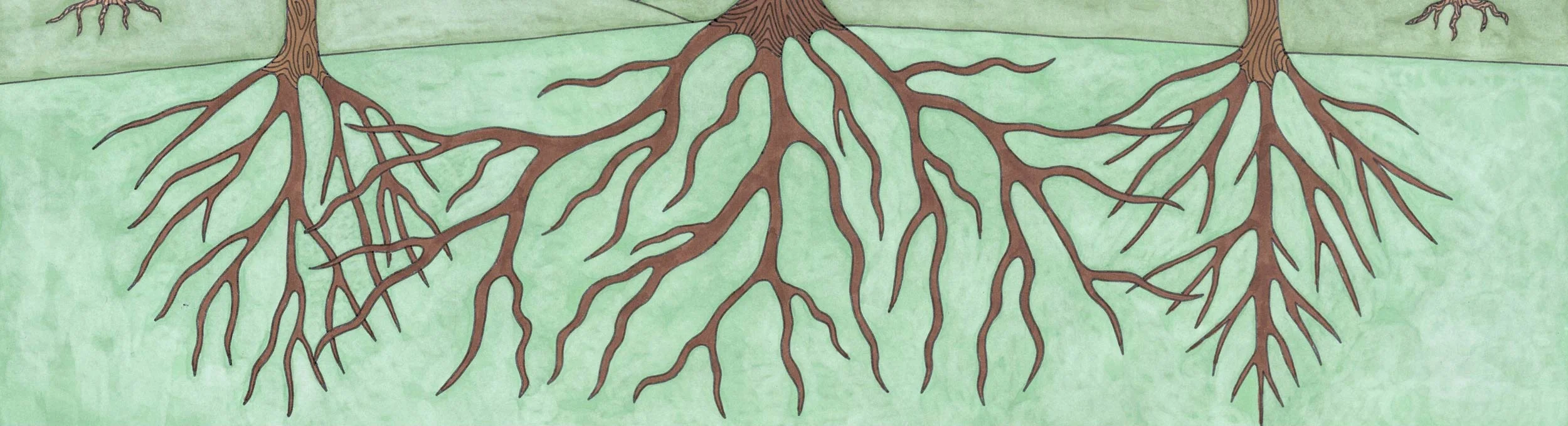 BannerBottomThird2500x680.jpg