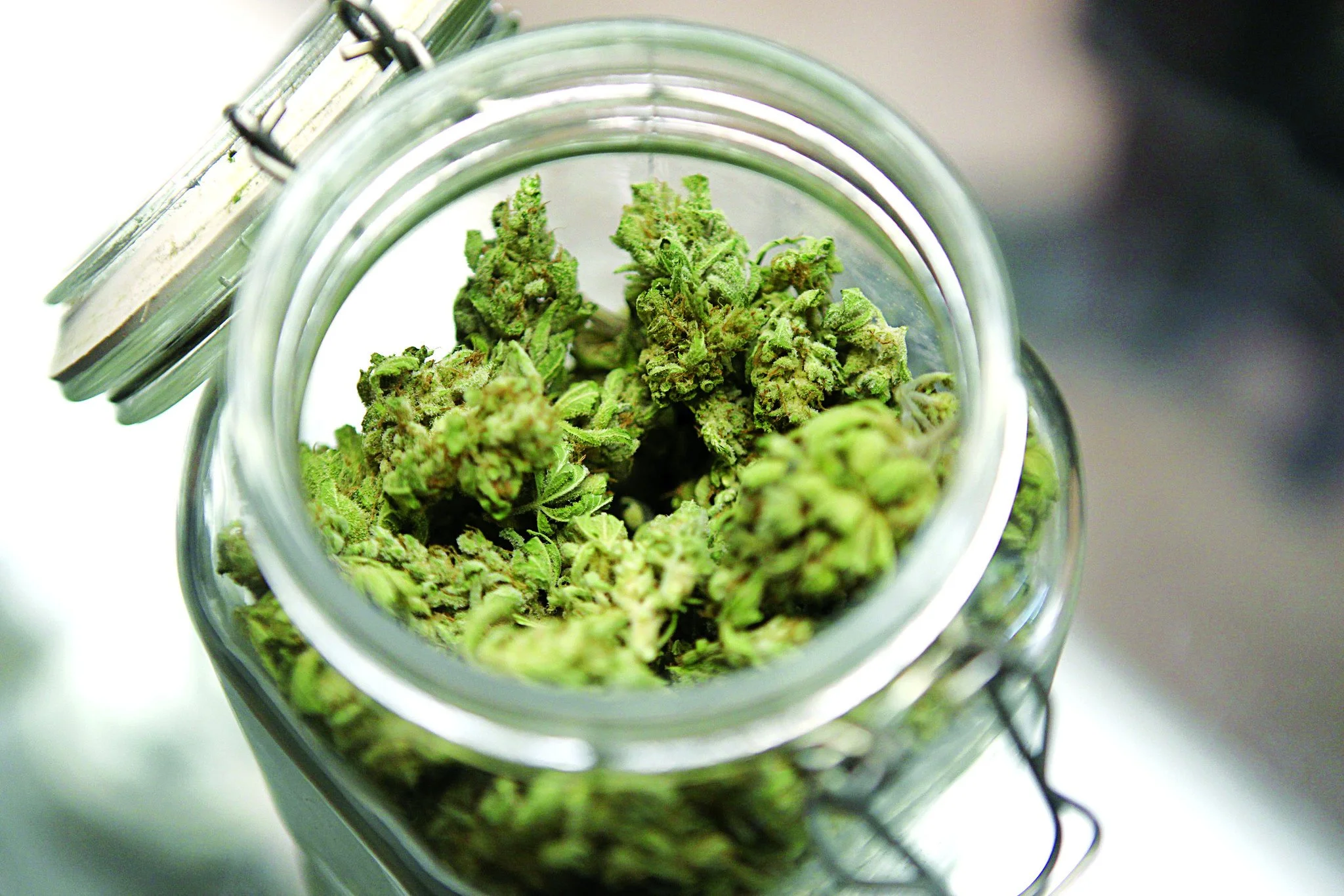 Marijuana_420_weed_mary_jane_drugs__26__2048x1366.jpg