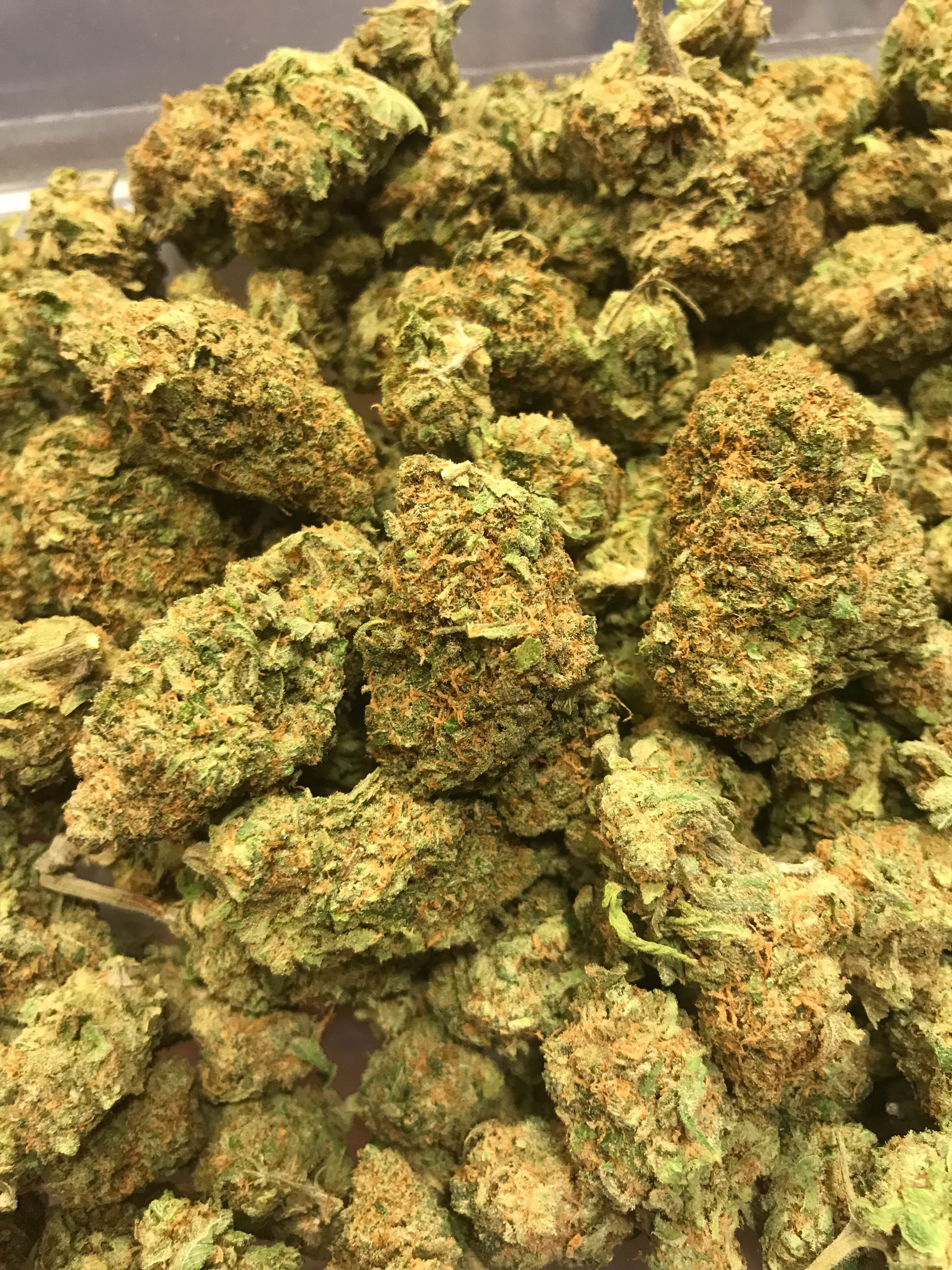 PR Lemon Jack