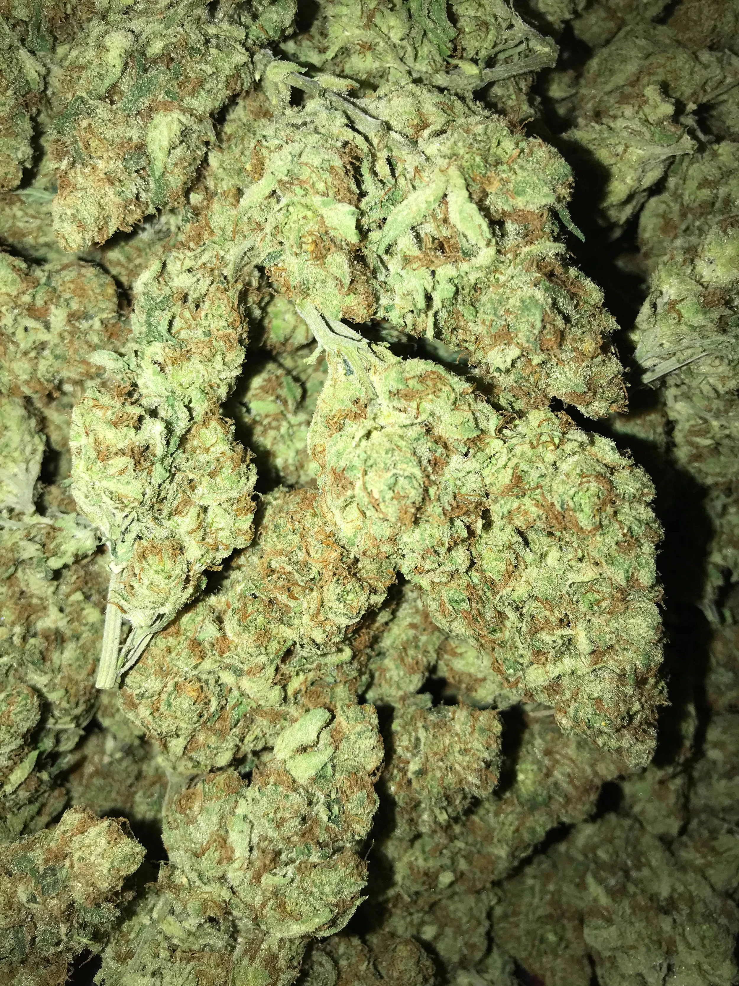 PR Super Lemon Haze