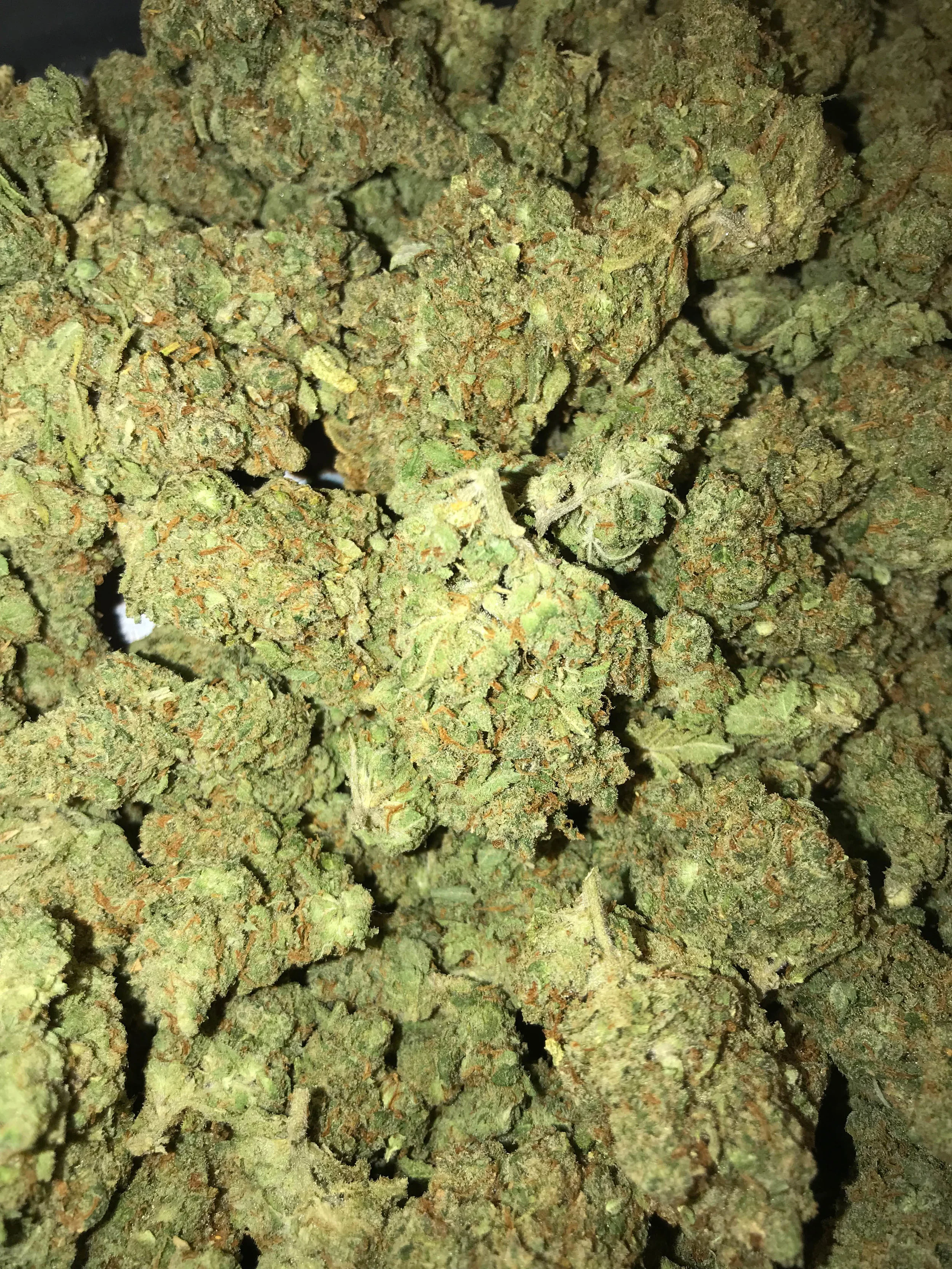 PR XJ-13
