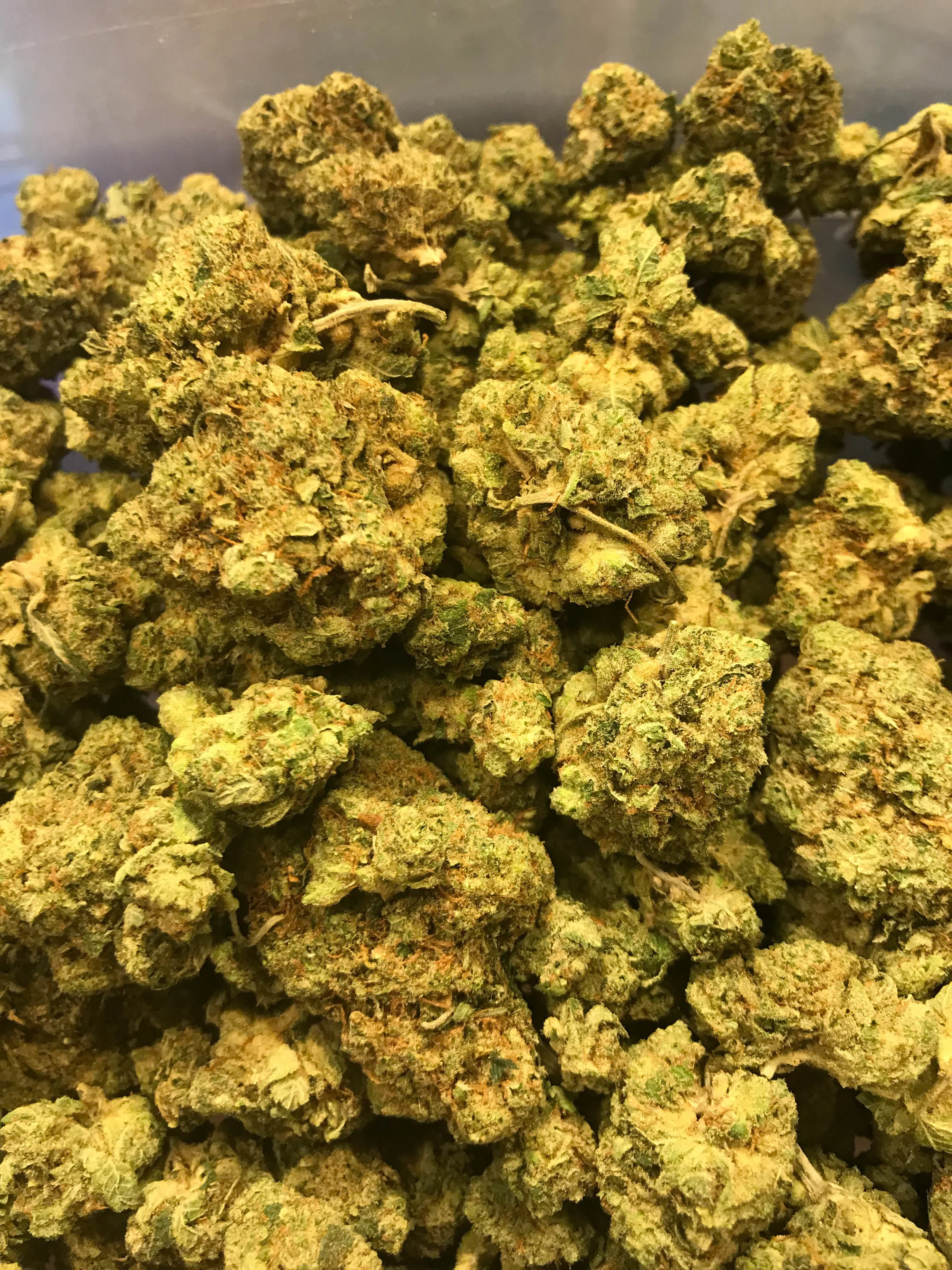 PR Amenesia Haze