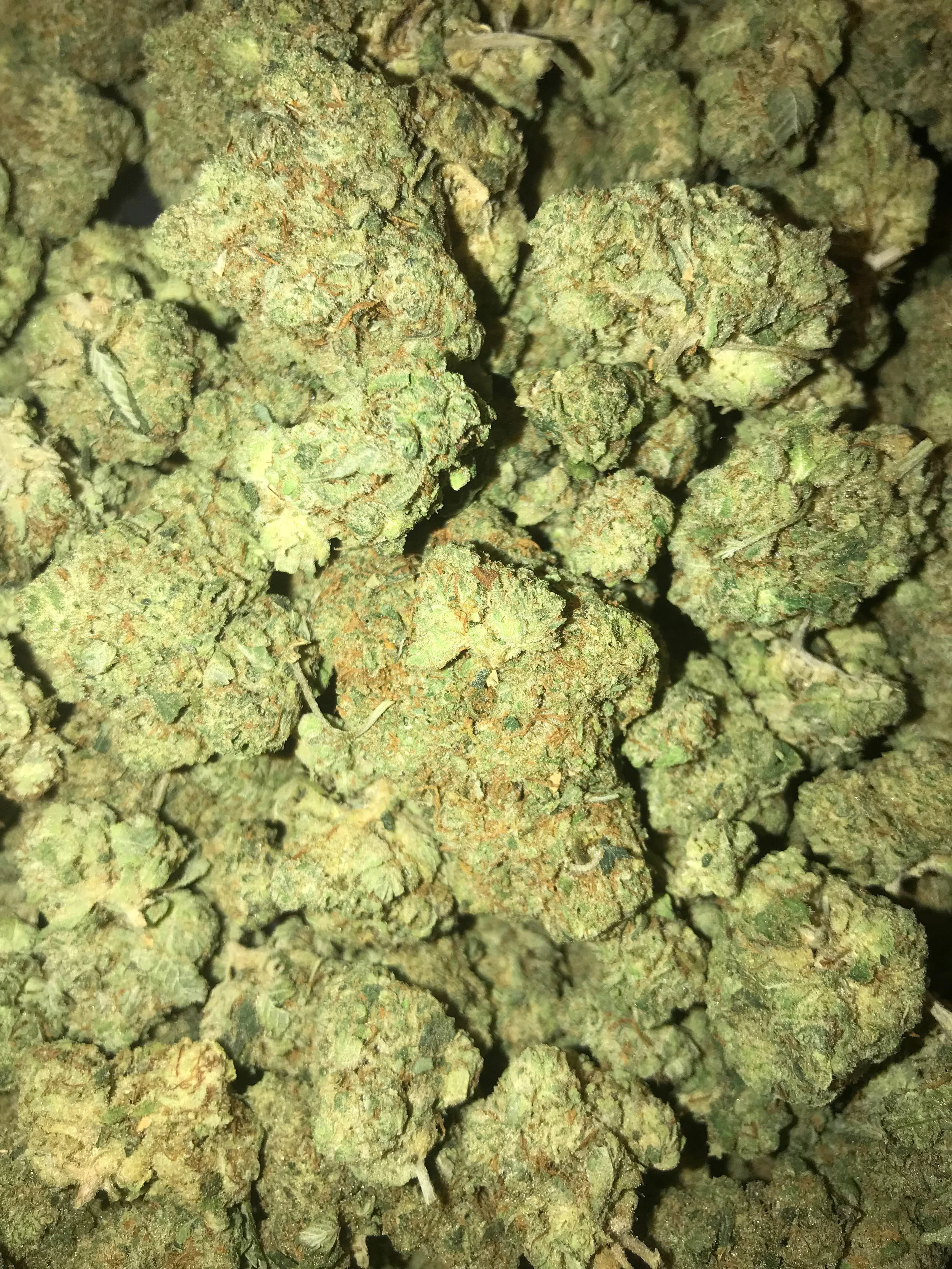 PR Gelato Cream 5g/55 10g/110