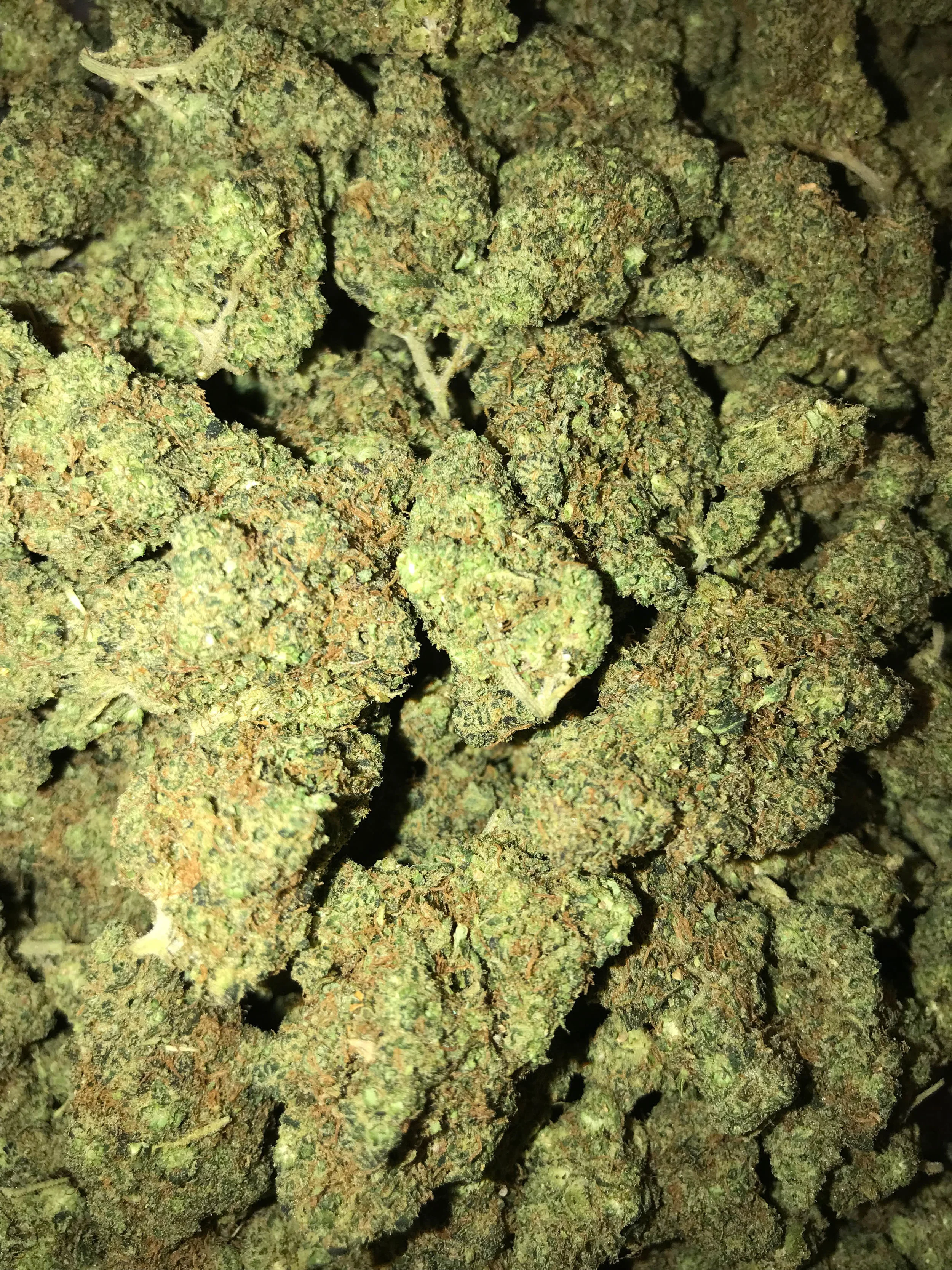 PR Ghost Train Haze 5g/55 10g/110
