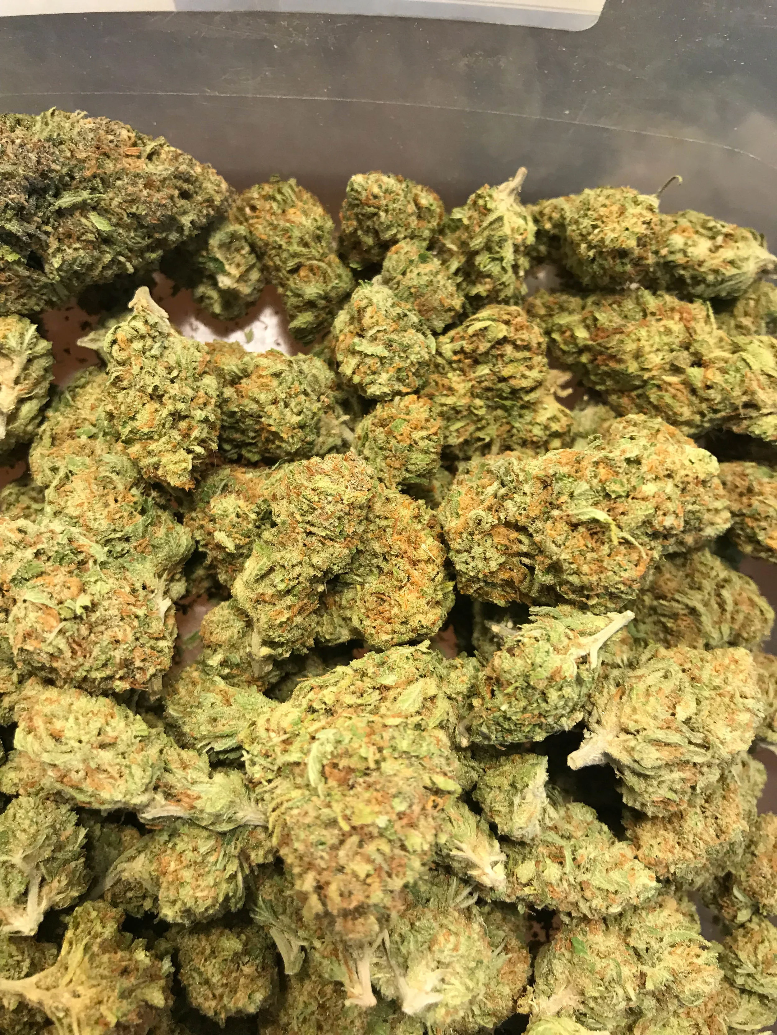 PR Sunset Sherbet 5g/55 10g/110
