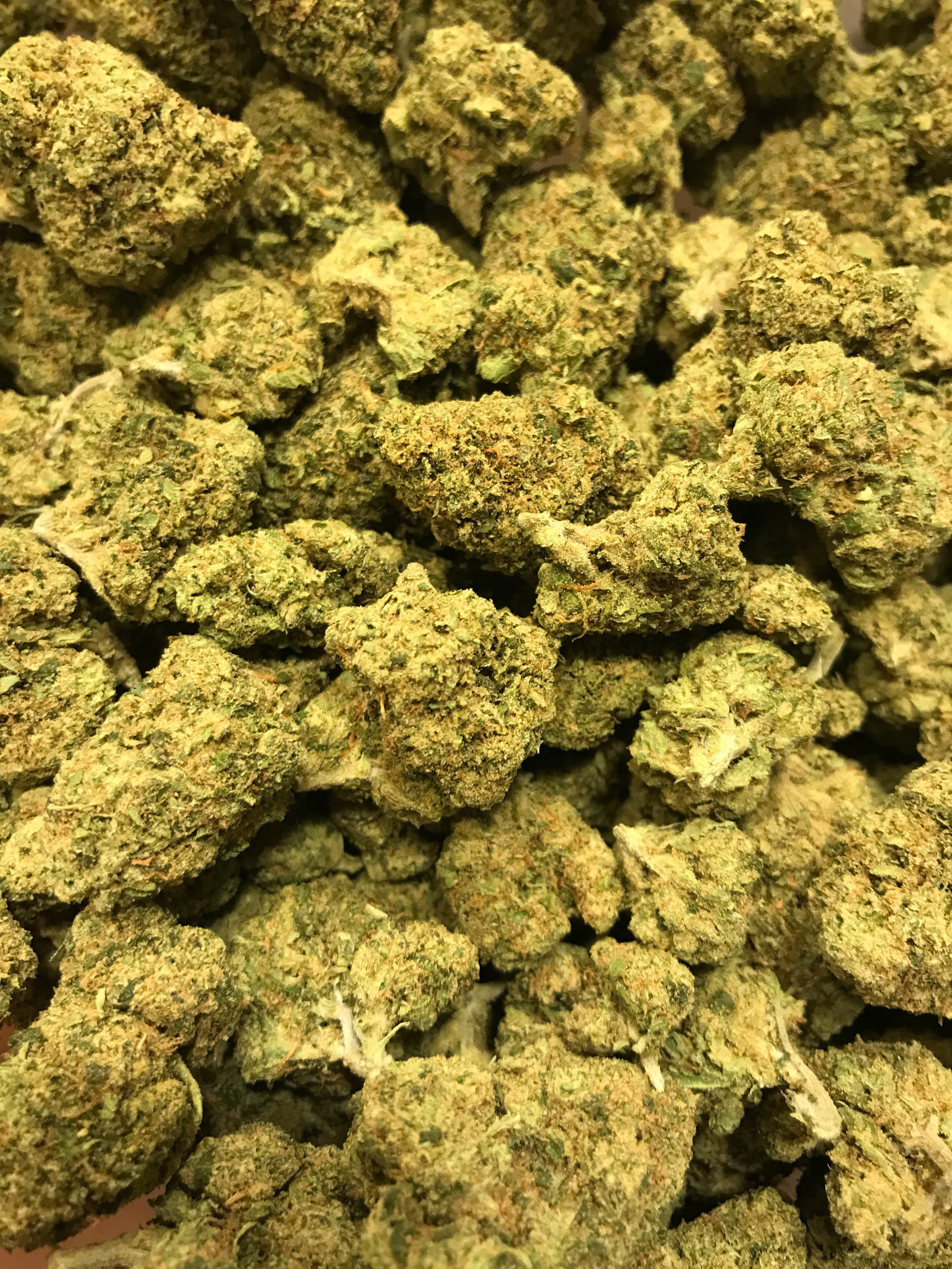 PR Candy Apple 5g/55 10g/110
