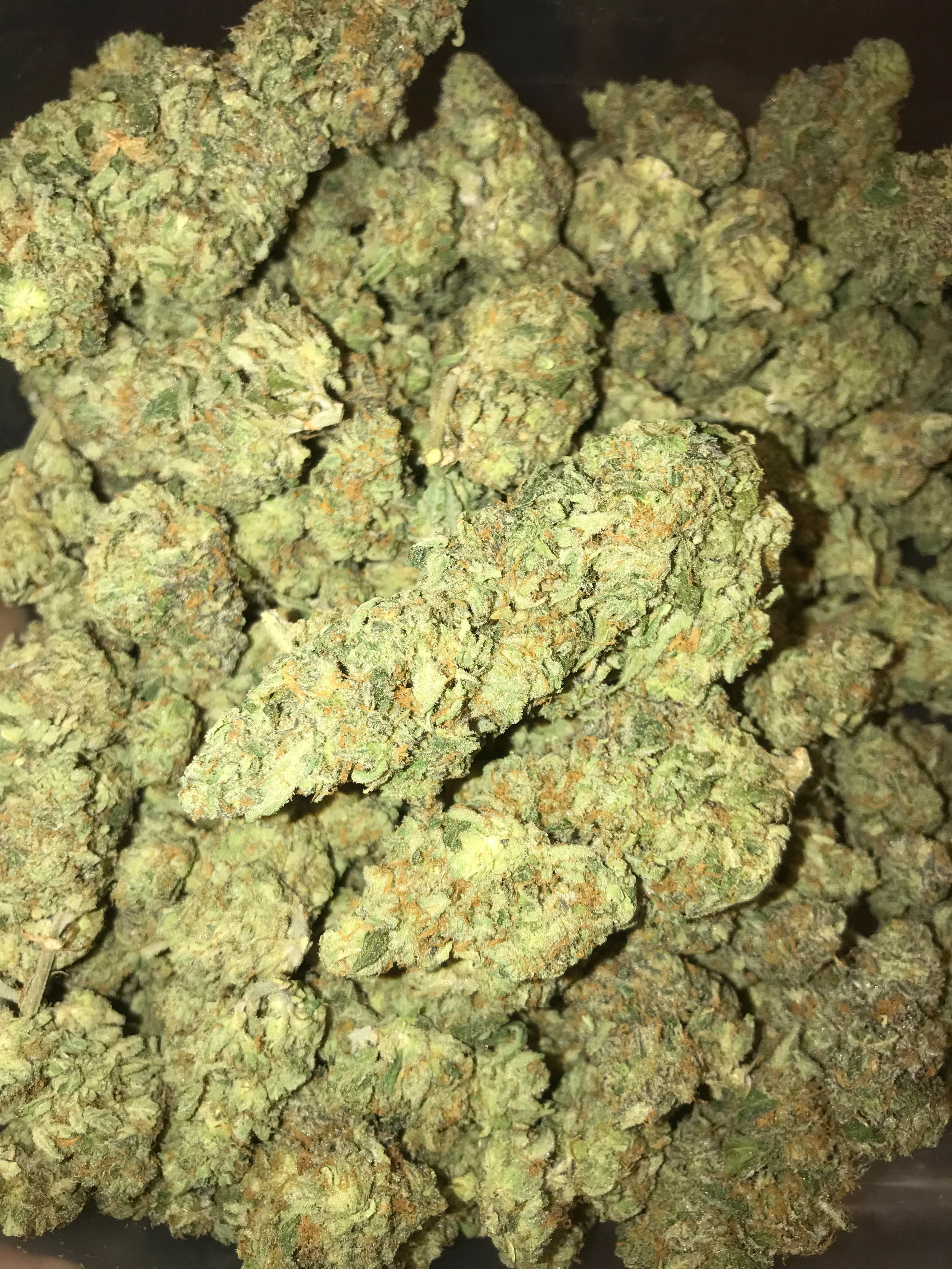 PR Nitro Gas OG 5g/50 10g/100