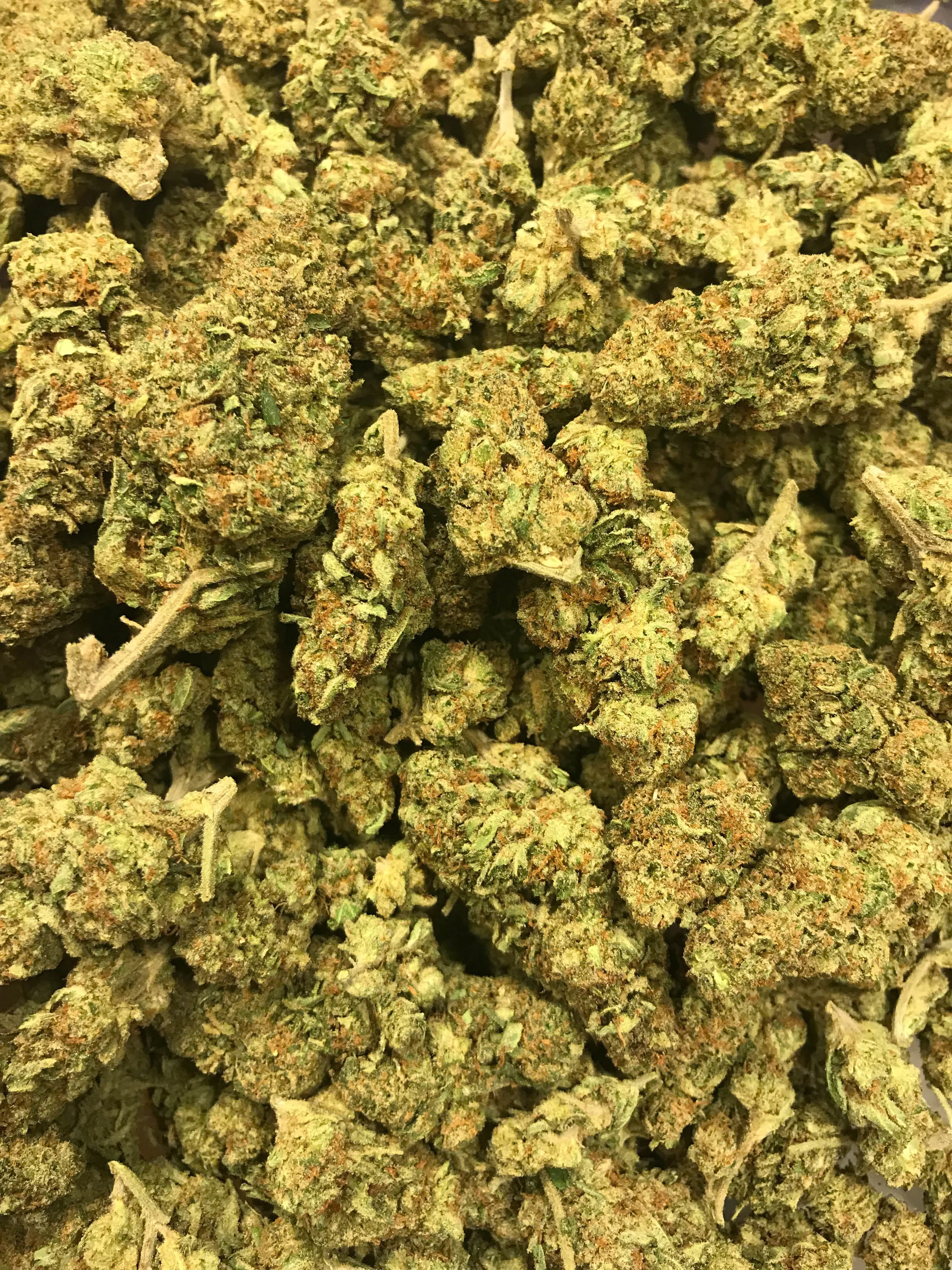PR Platinum Cookies 5g/50 10g/100
