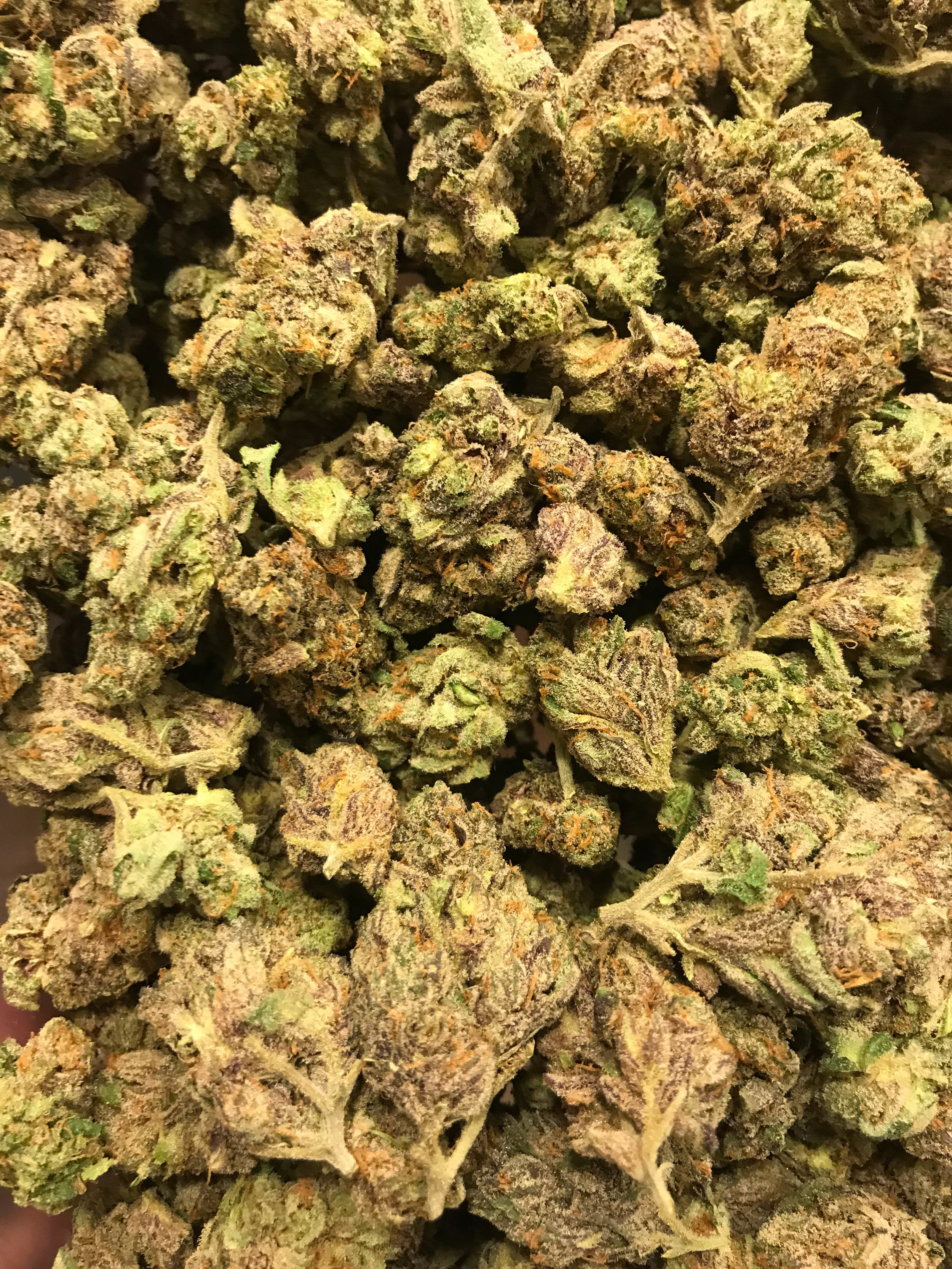 PR Platinum OG 5g5010g/100
