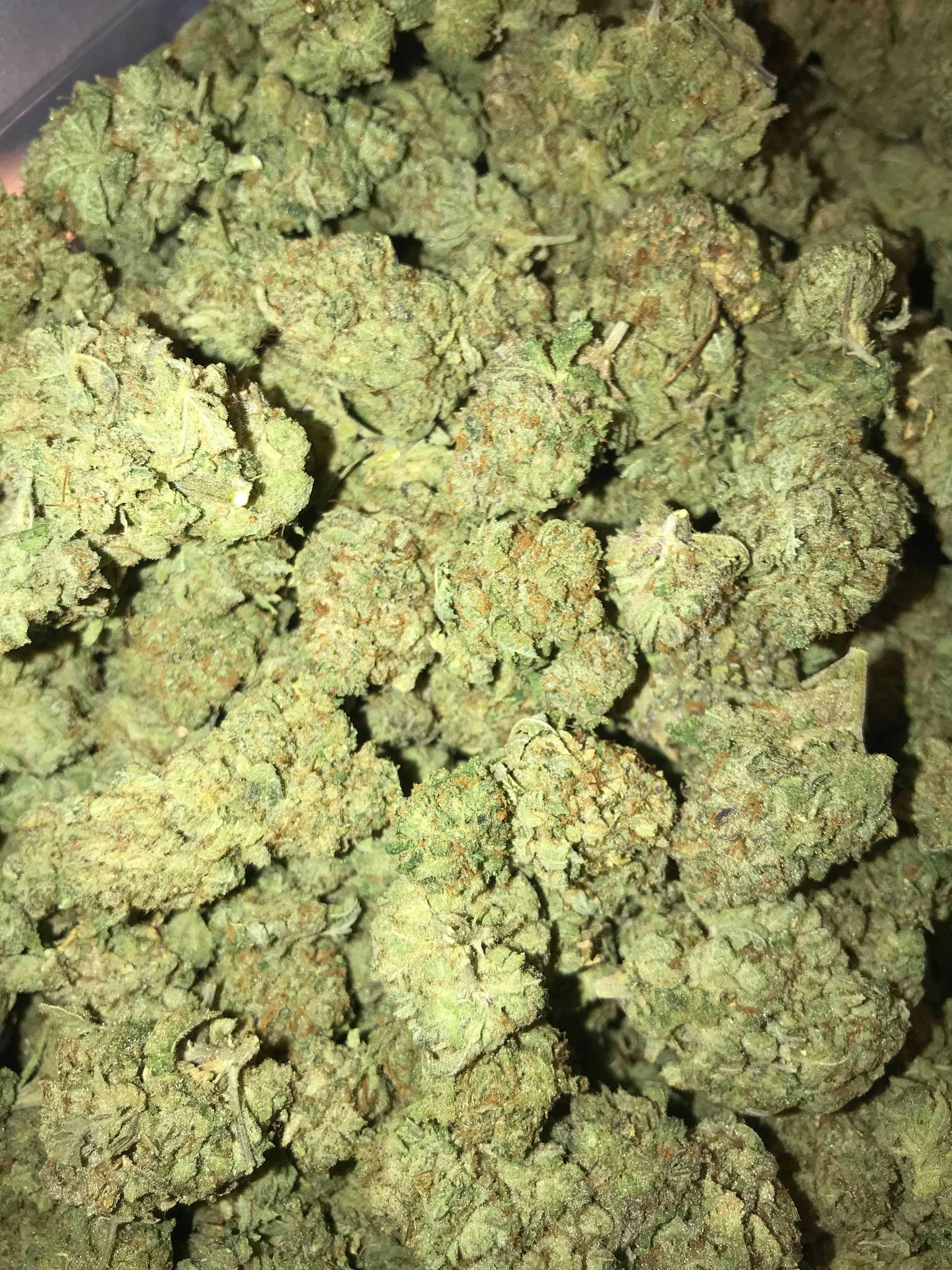 PR Skunk OG 5g/40 10g/75
