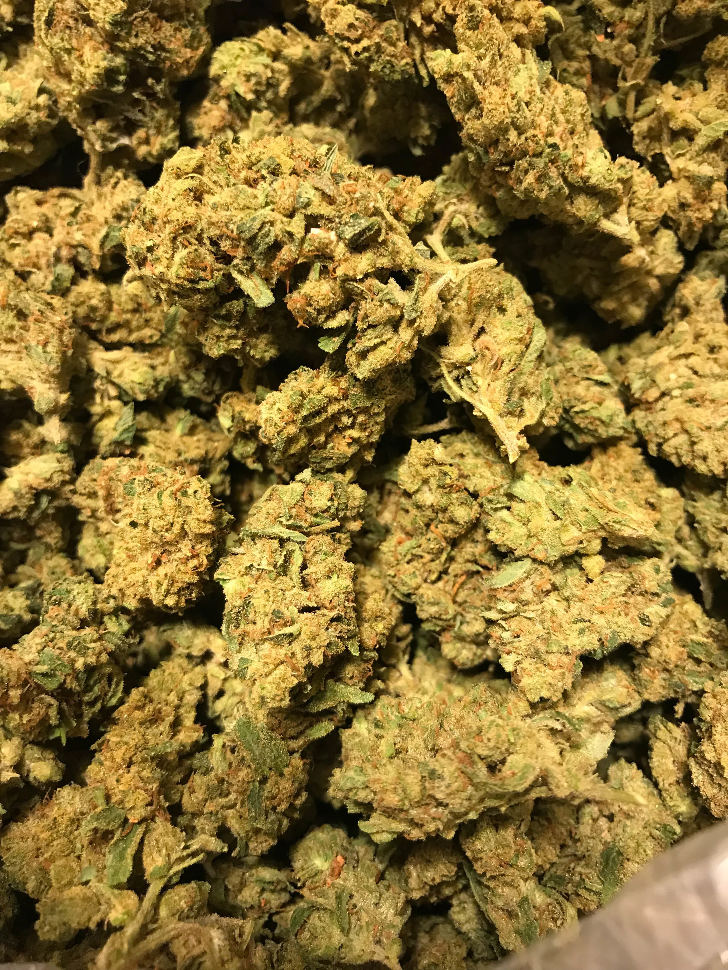 PR Skywalker 6g/35 12g/65 (115 OZ DEAL)
