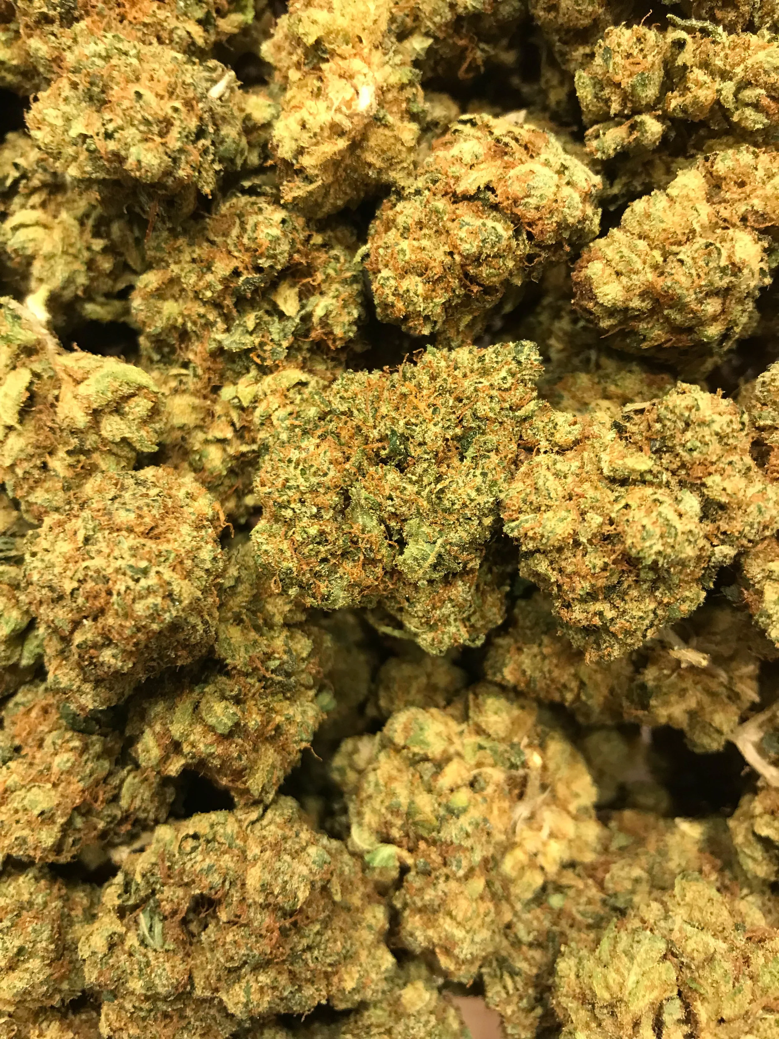 PR King Louie OG 5g/55 10g/110