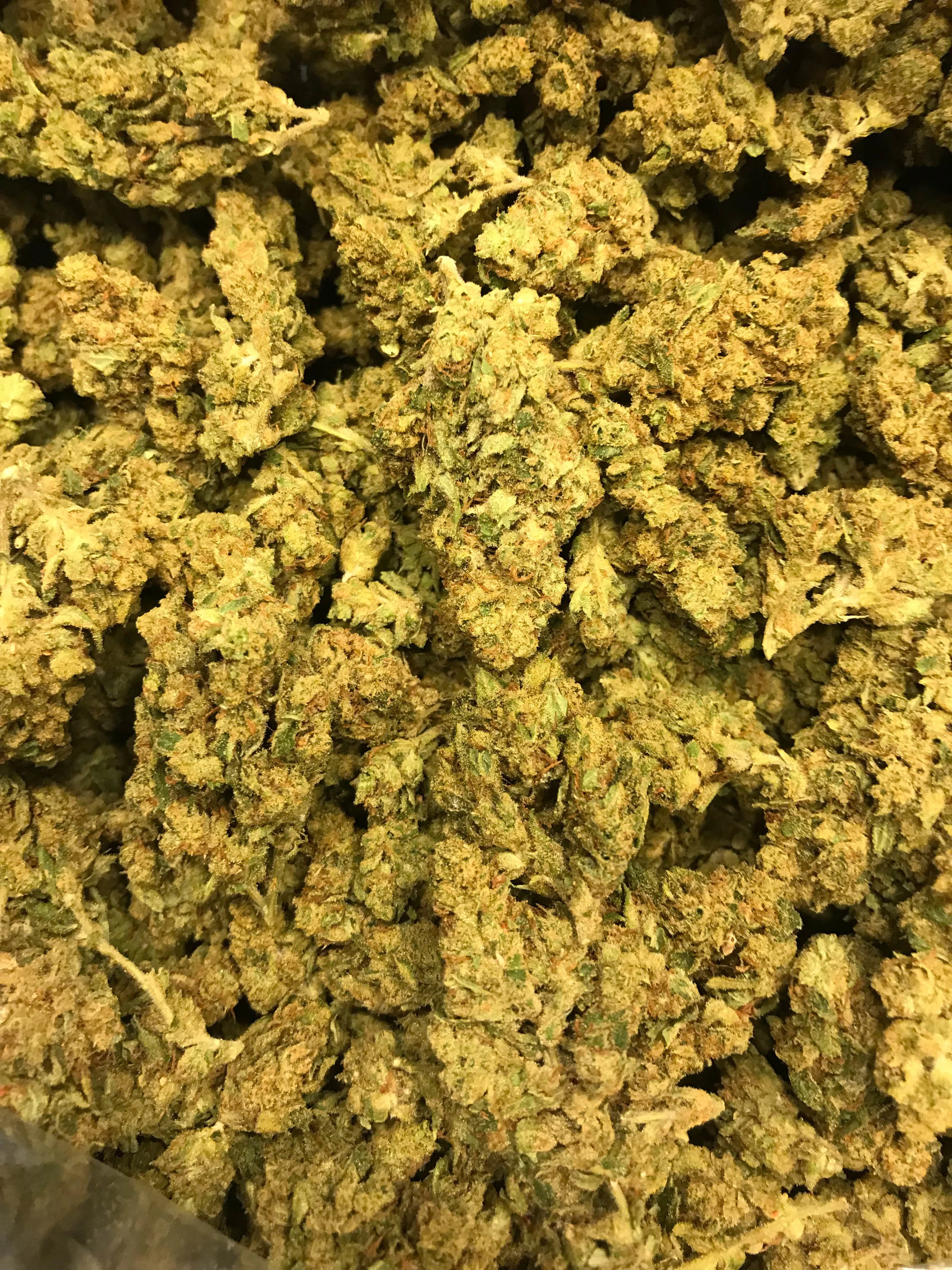 PR Snake Venom 6g/35 12g/65 (115 OZ DEAL)
