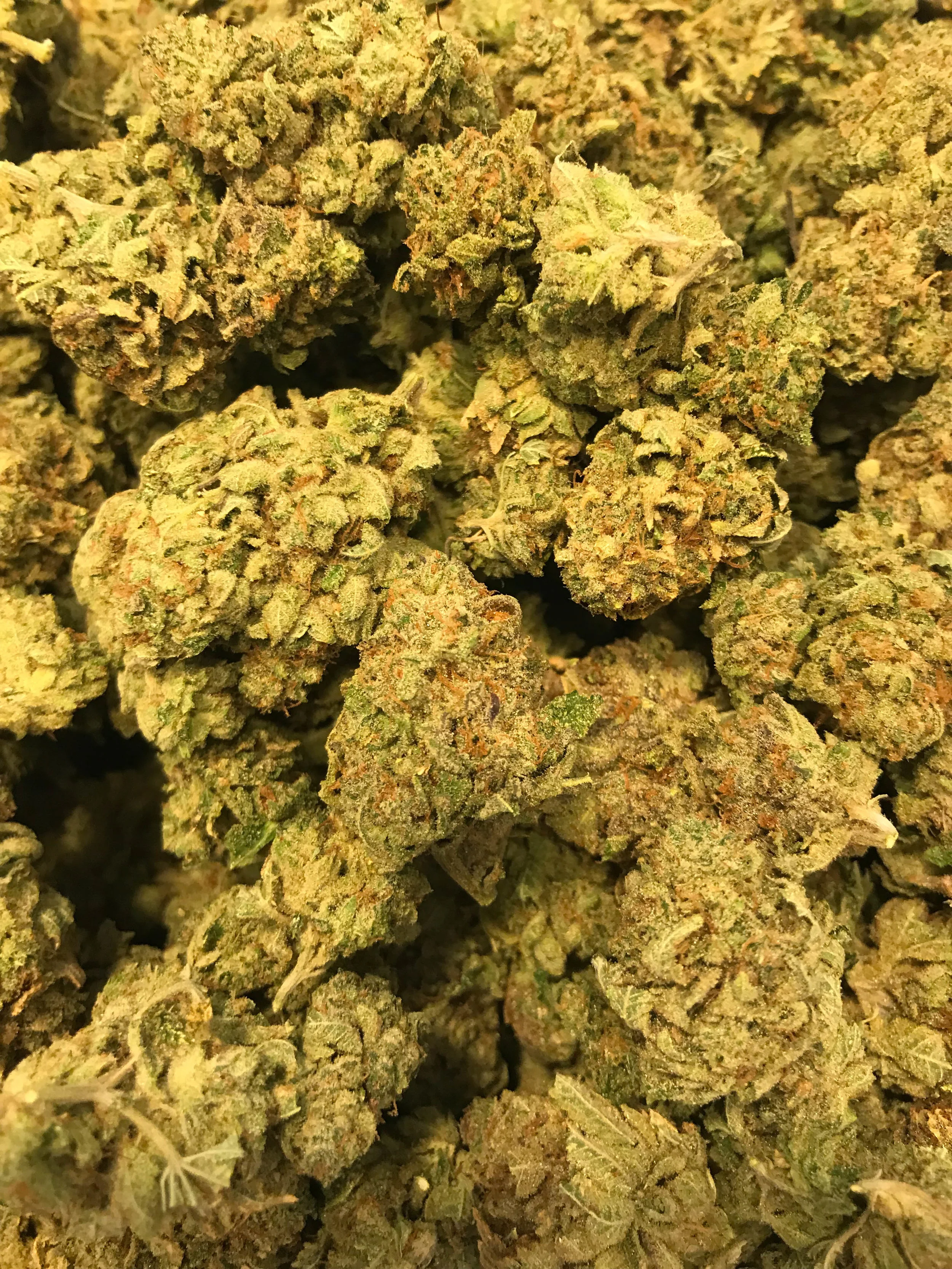 PR Tahoe Glue 5g/40 10g/75 (130 OZ DEAL)

