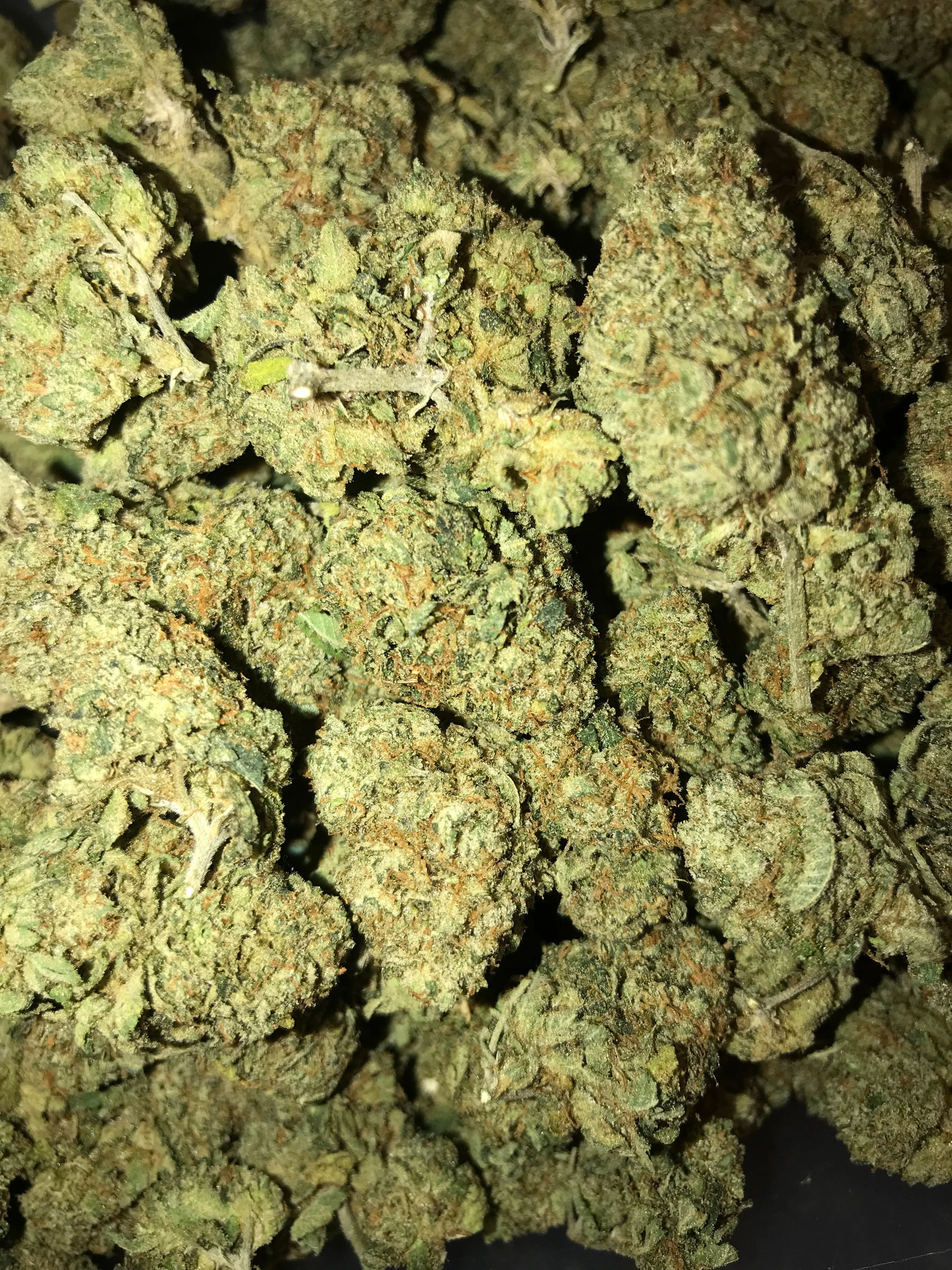 PR Gravity OG 5g/60 10g/115
