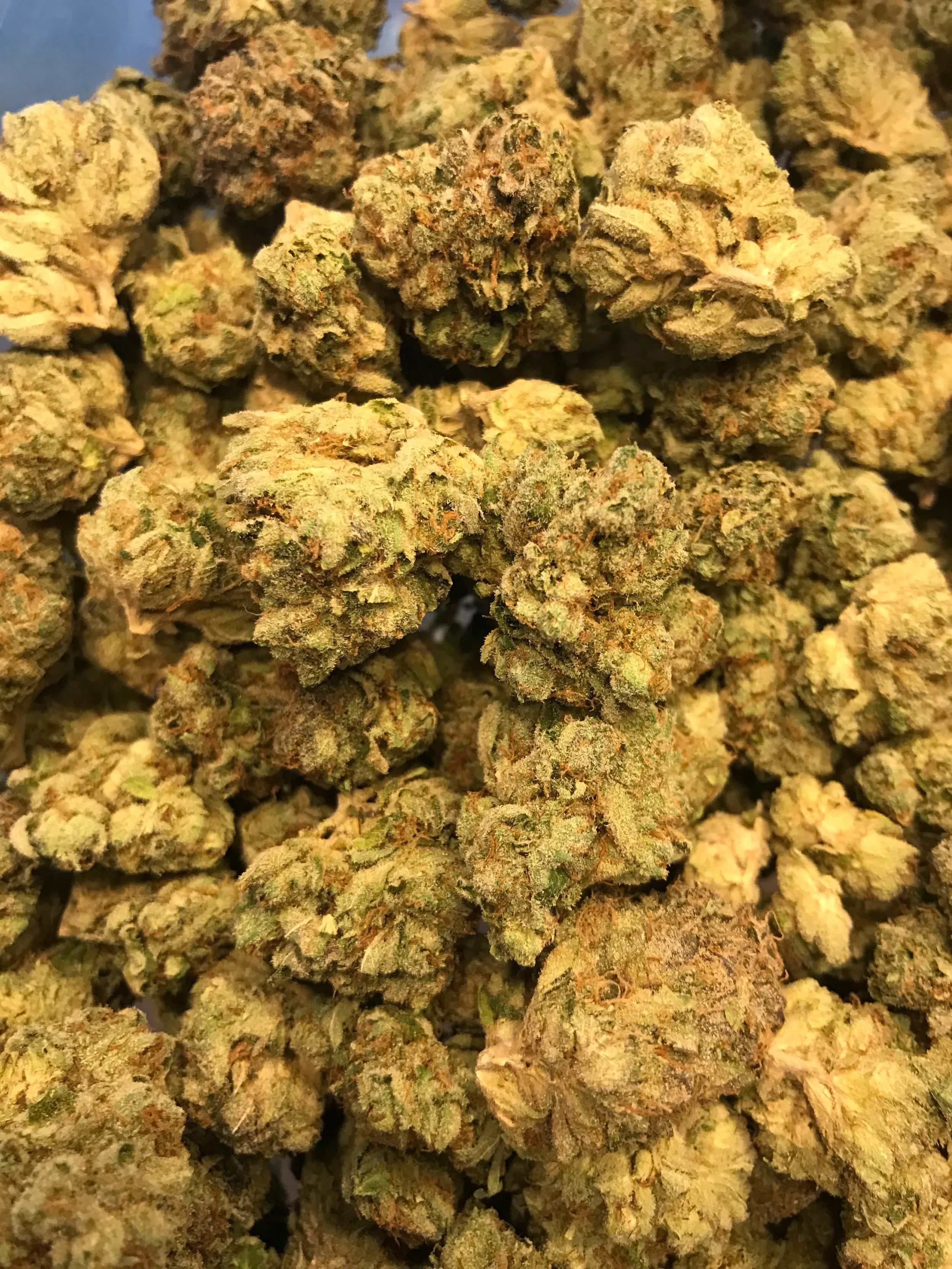 PR Girl Scout Cookies 5g/55 10g/110
