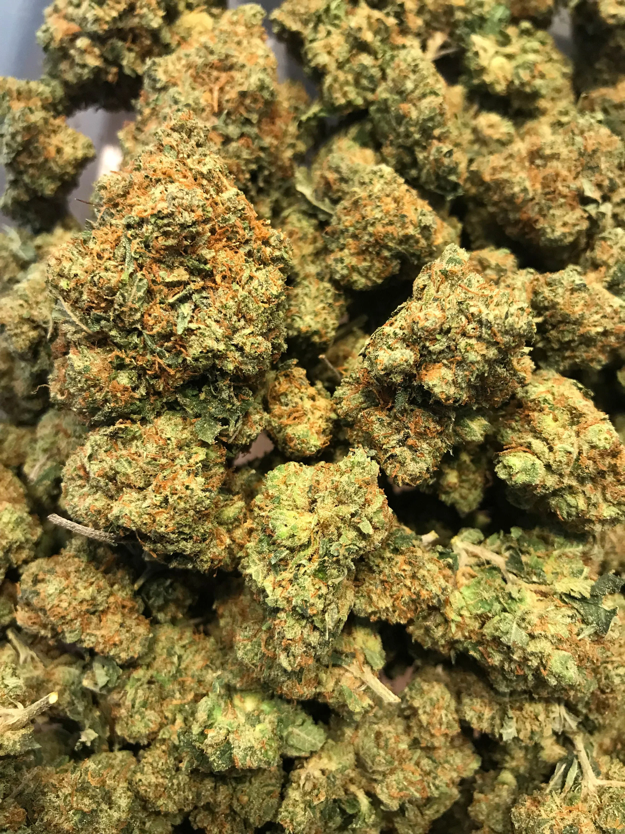 PR Gucci OG 5g/60 10g/115
