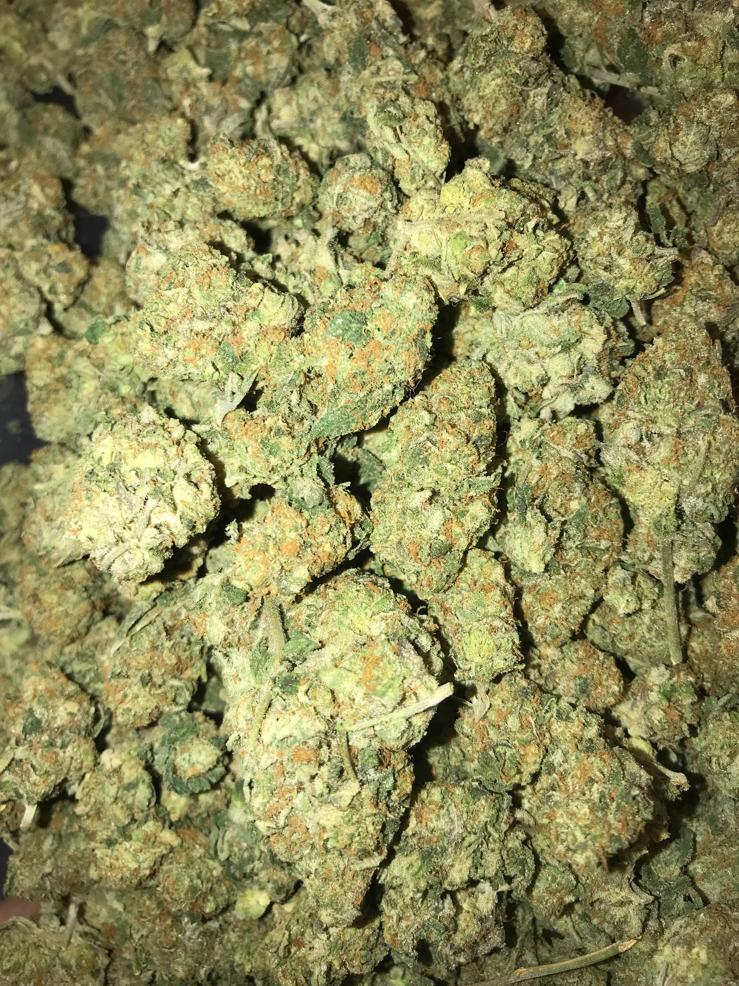 PR legend Cookies 5g/50 10g/100
