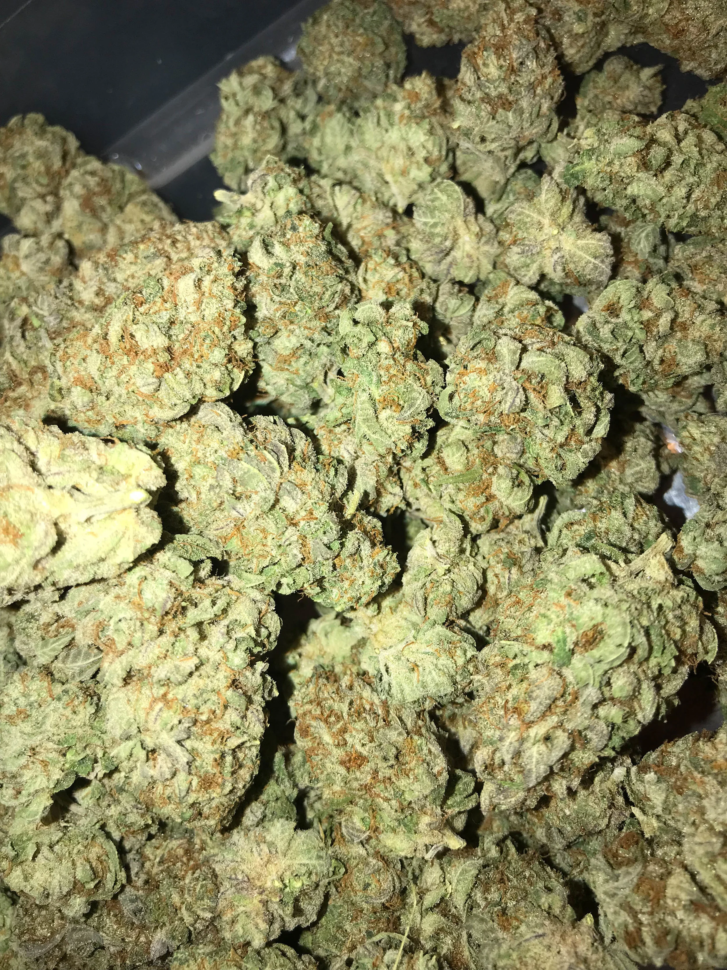 PR Master Blaster 5g/60 10g/115
