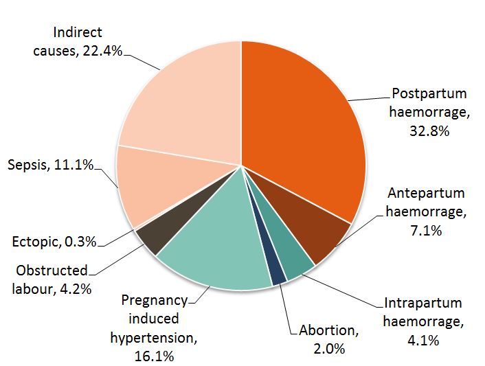 Pie-chart.jpg