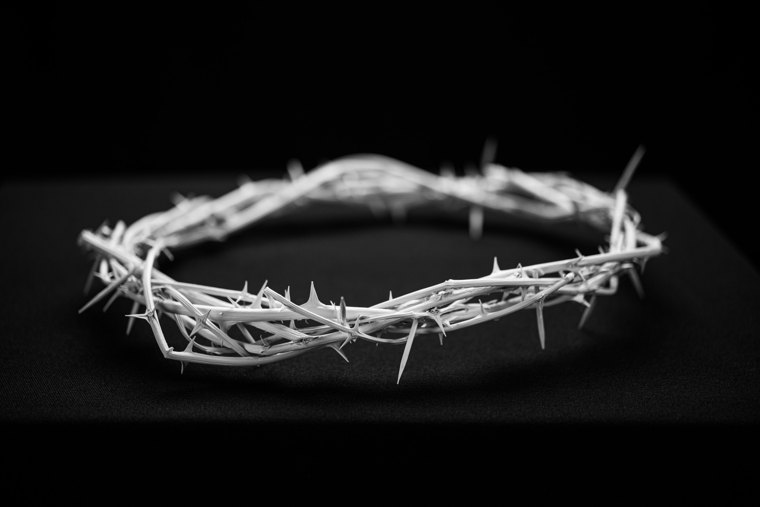 What Did Jesus Do? (Mark 8:31-38)