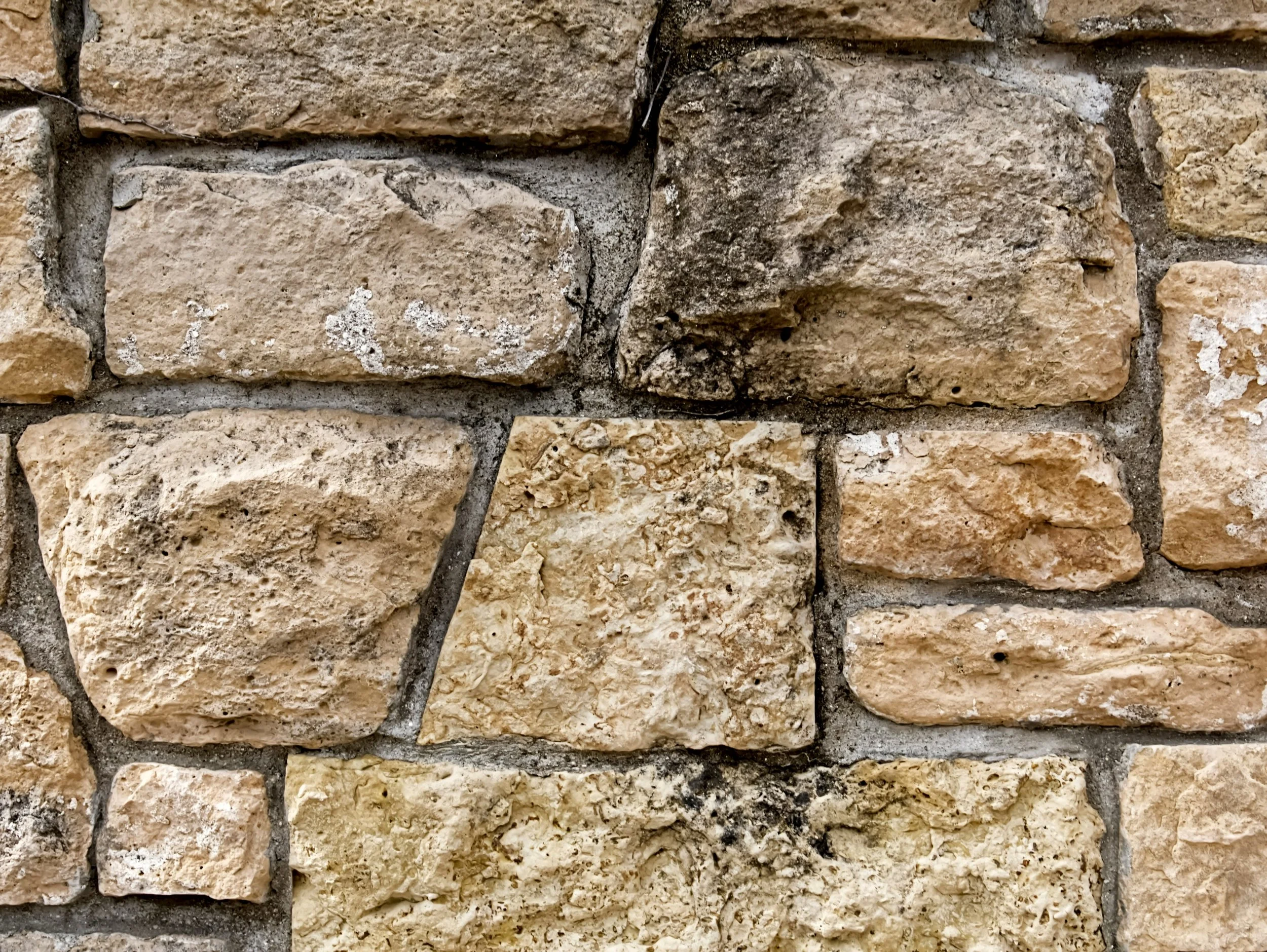 Critical Continuity: The Structure of the Westminster Confession in the Reformed Tradition