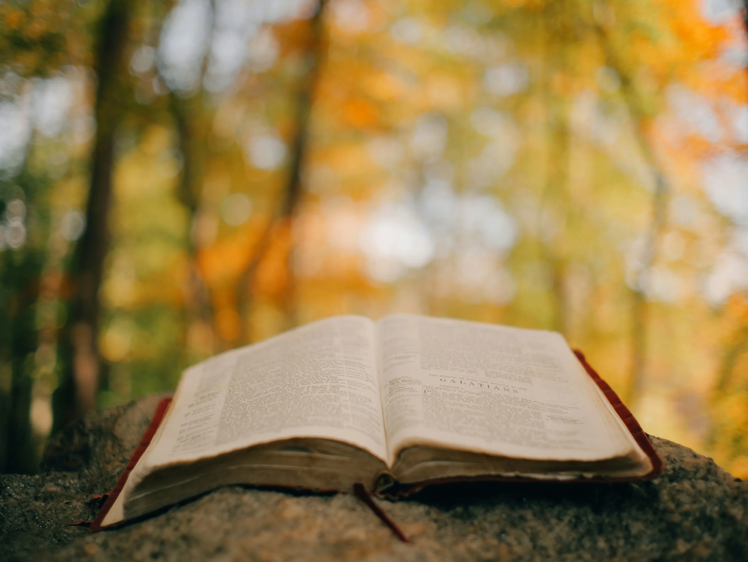 The Doctrine of Scripture (2 Timothy 3:16-17)