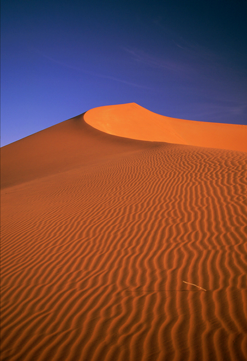 JOY RESOR Namibian Desert.jpg