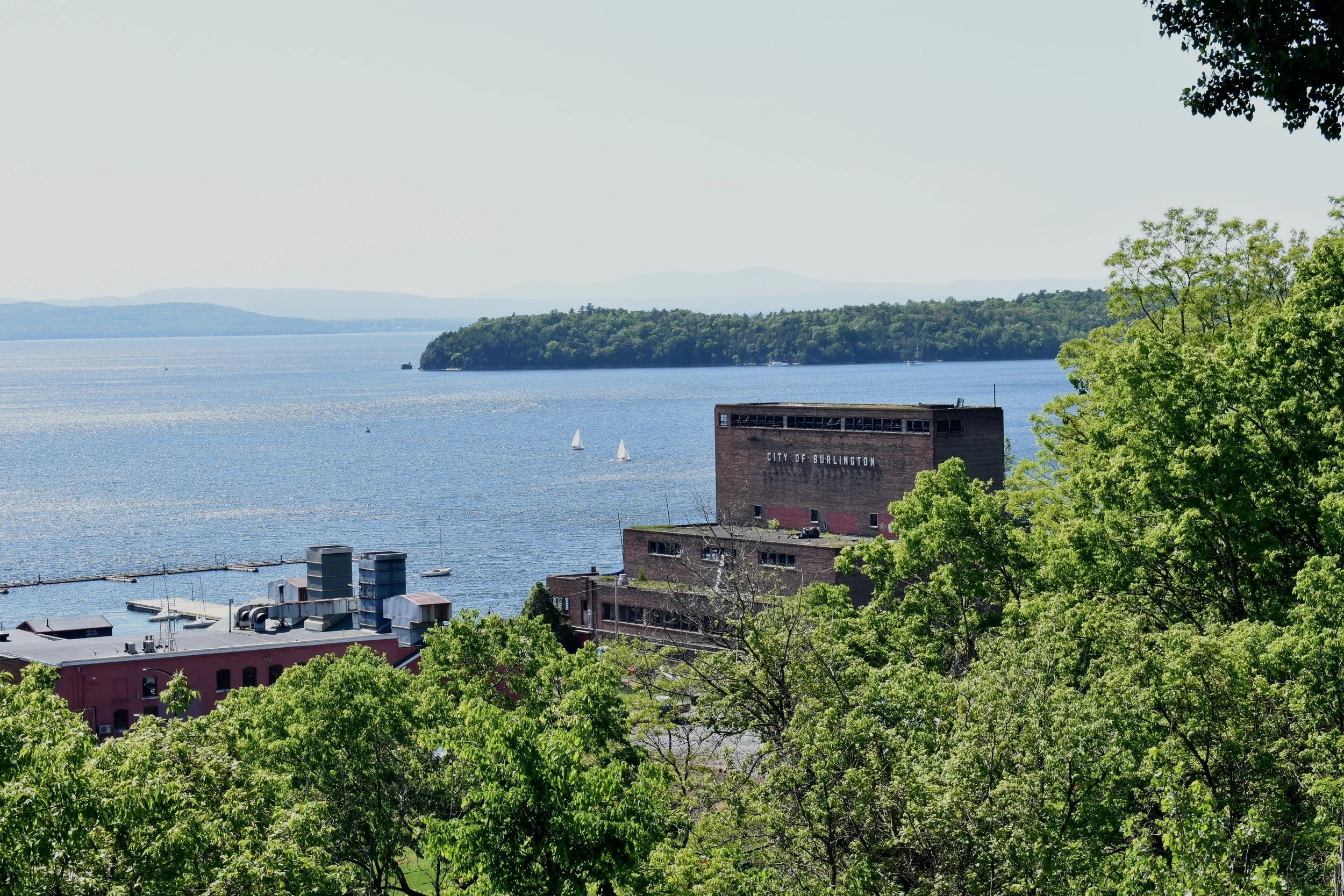 DSC_0209.jpg