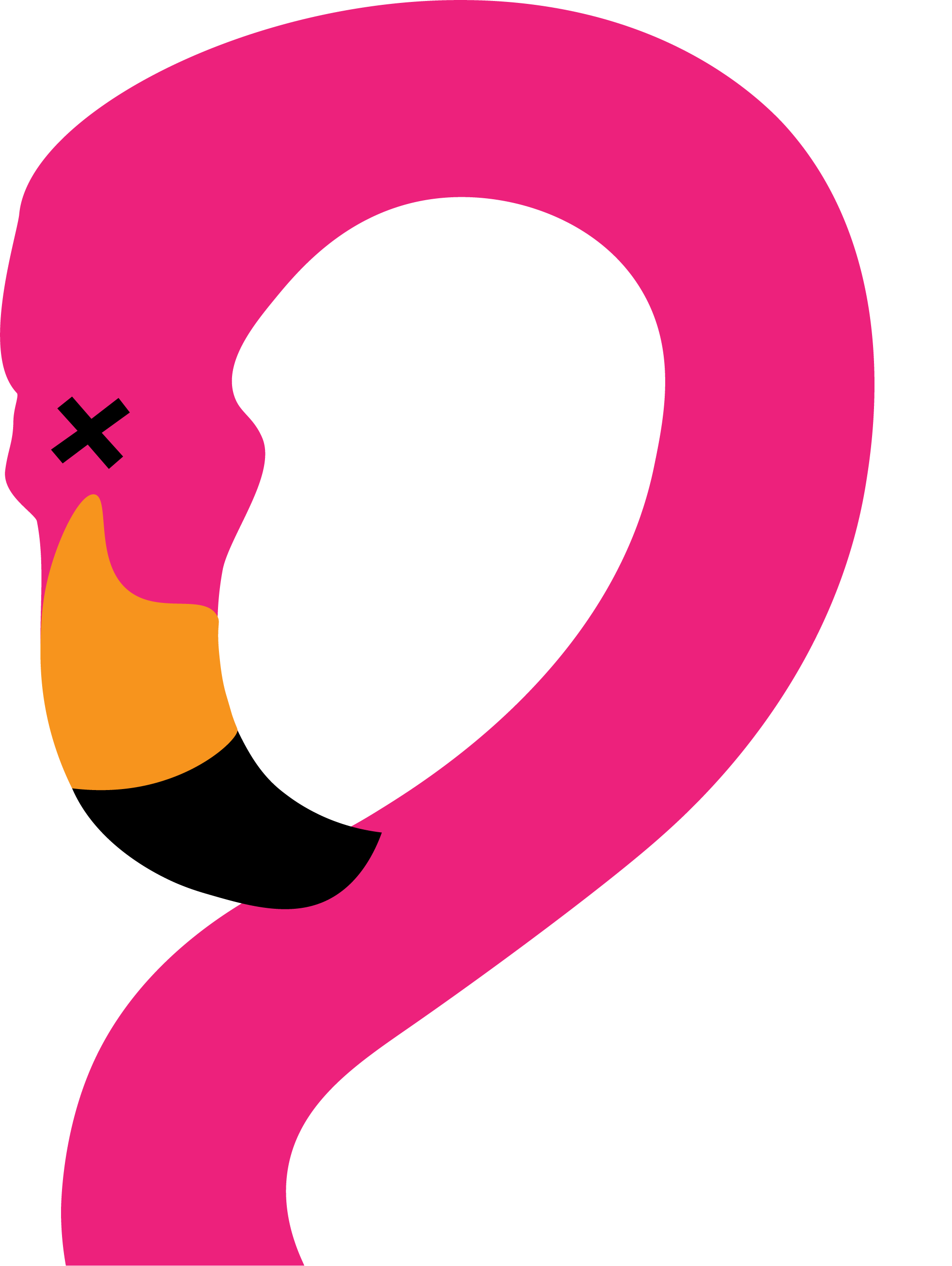 The Parkers “Flamingo” Logo – Designed in 2017
