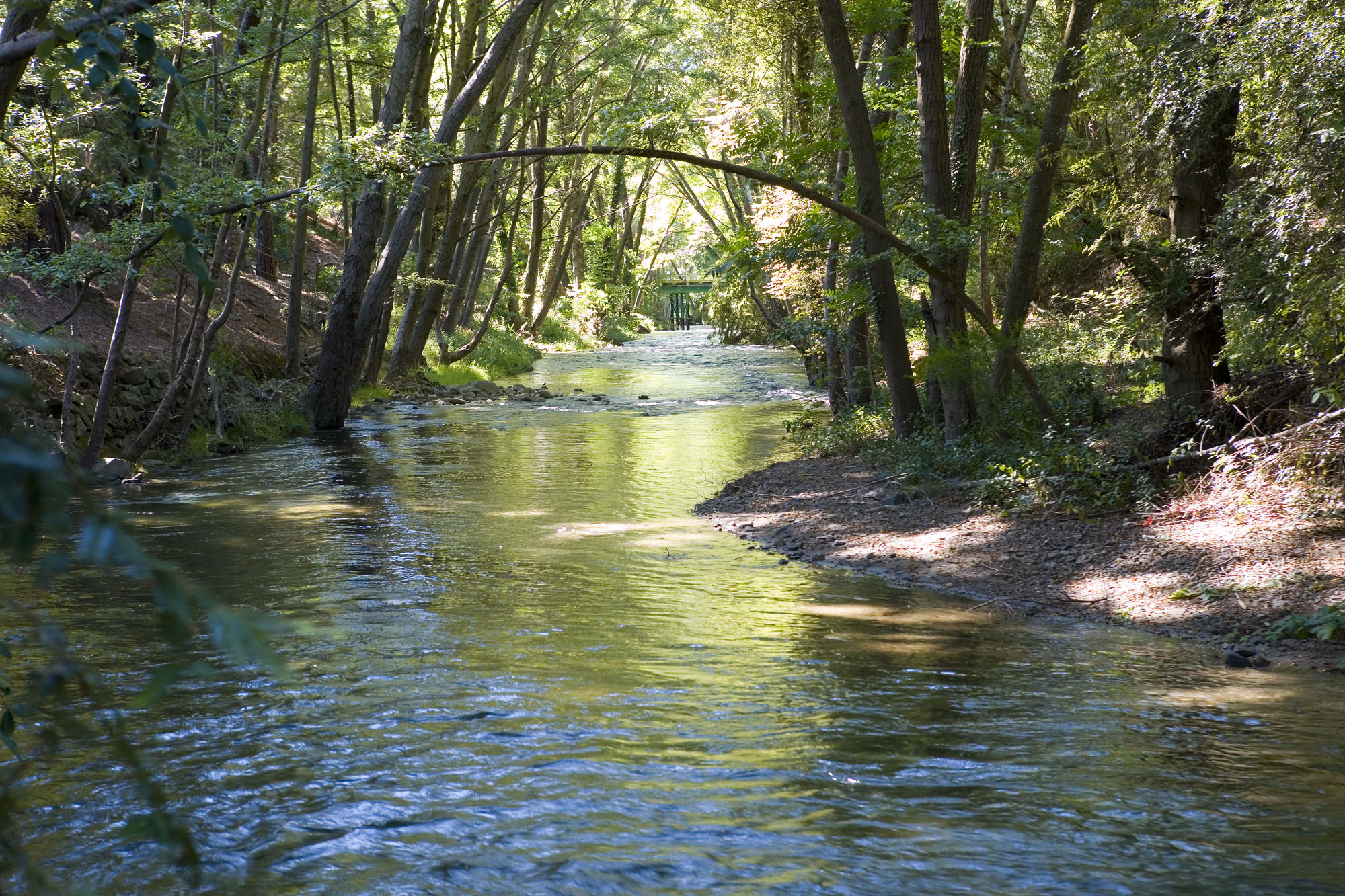 EBMUD_2016_orinda-creek---stormwater.jpg