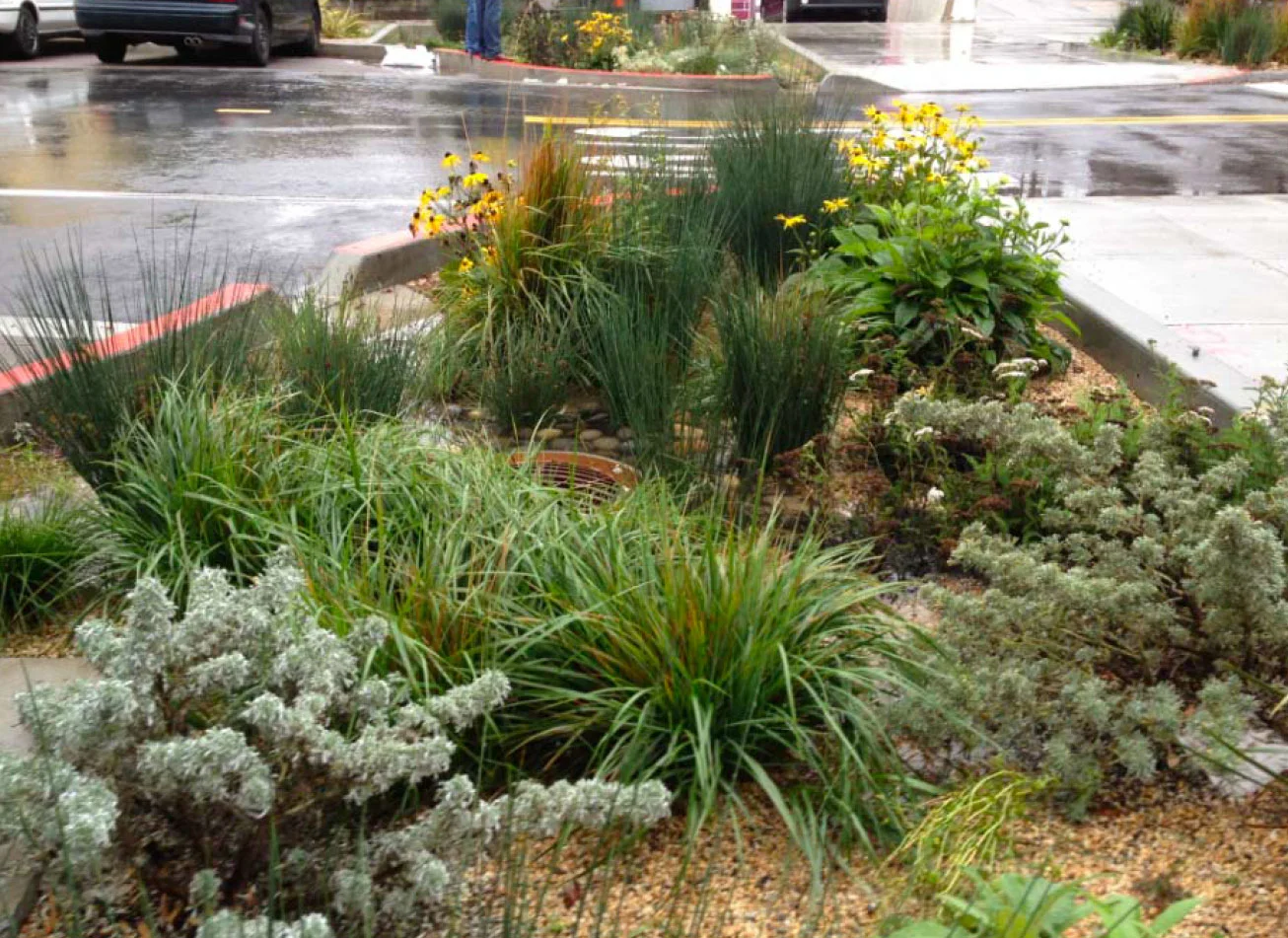 The Potential for Urban Stormwater as a Water Supply