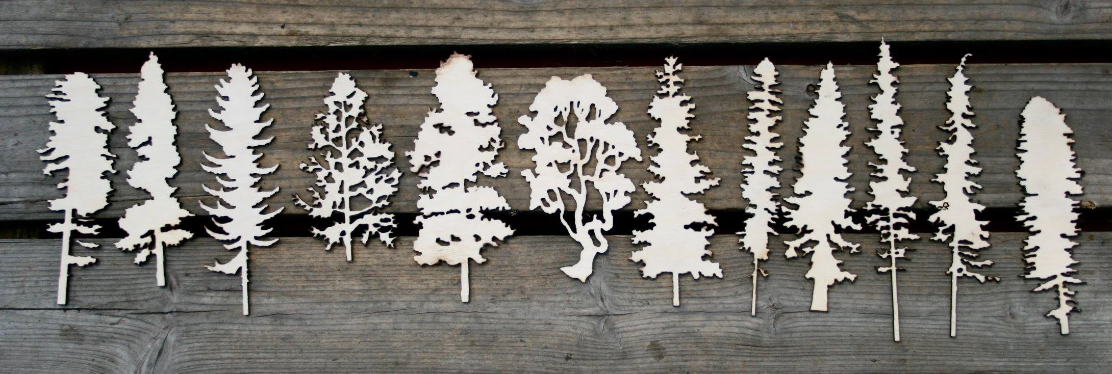 Trees.jpg