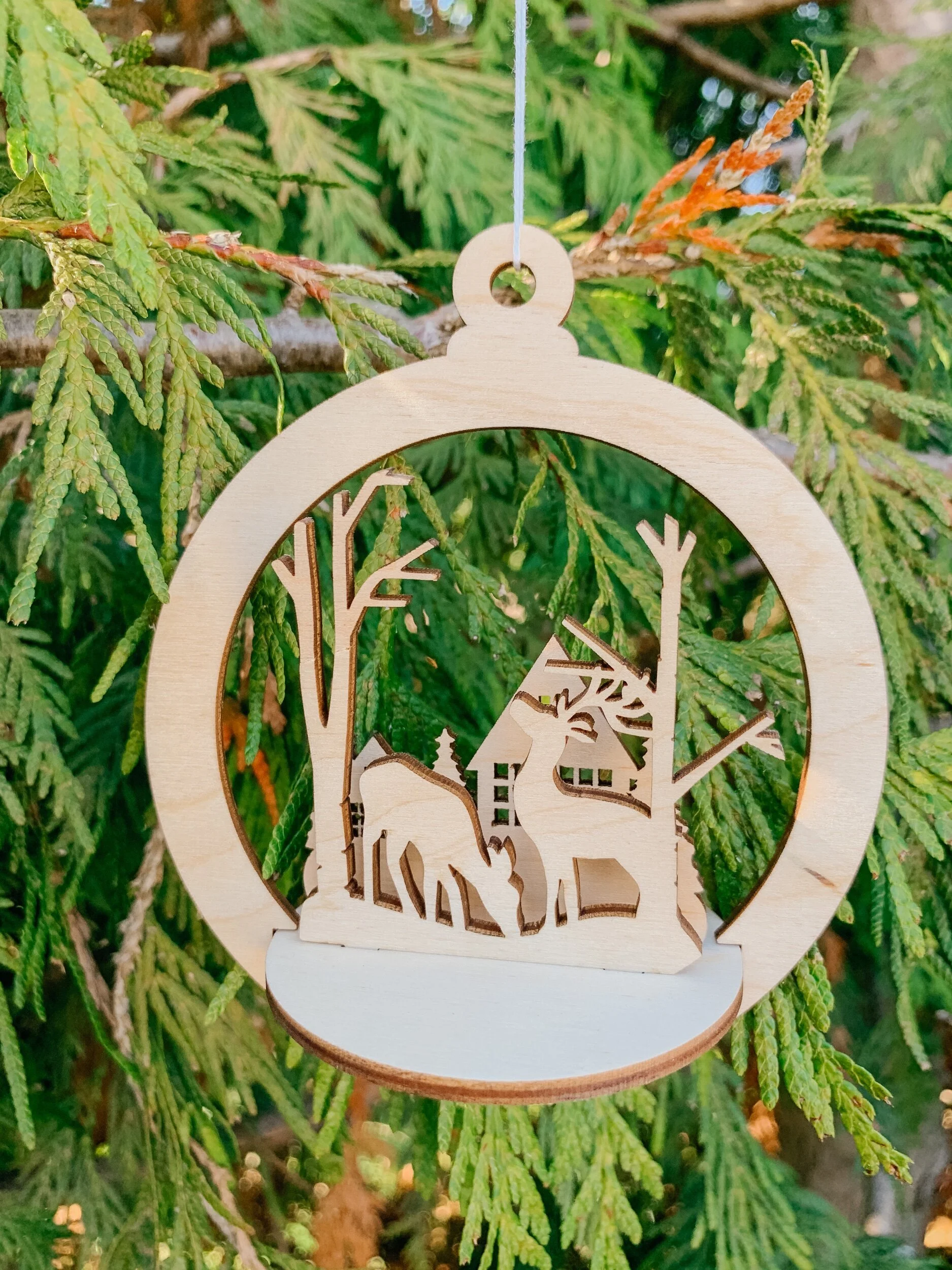 641577E5-63C2-41E5-8244-C5AE1F659E62